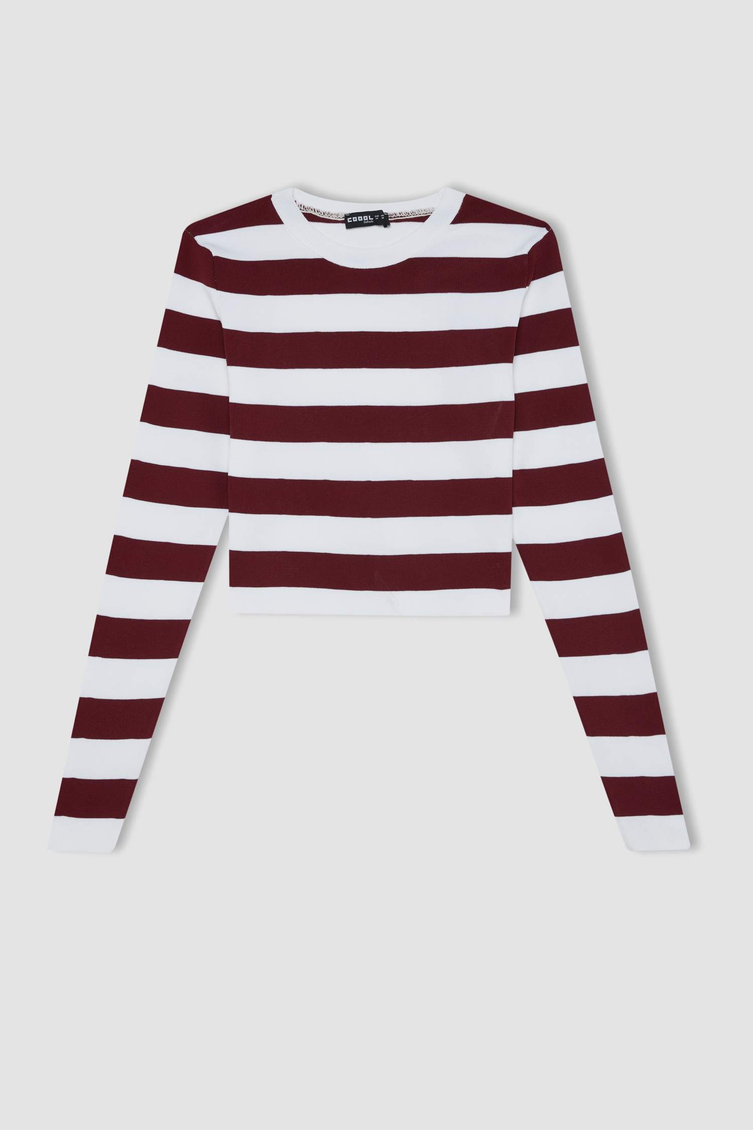 Coool Slim Fit Dar Kesim Çizgili Bisiklet Yaka Triko Kazak