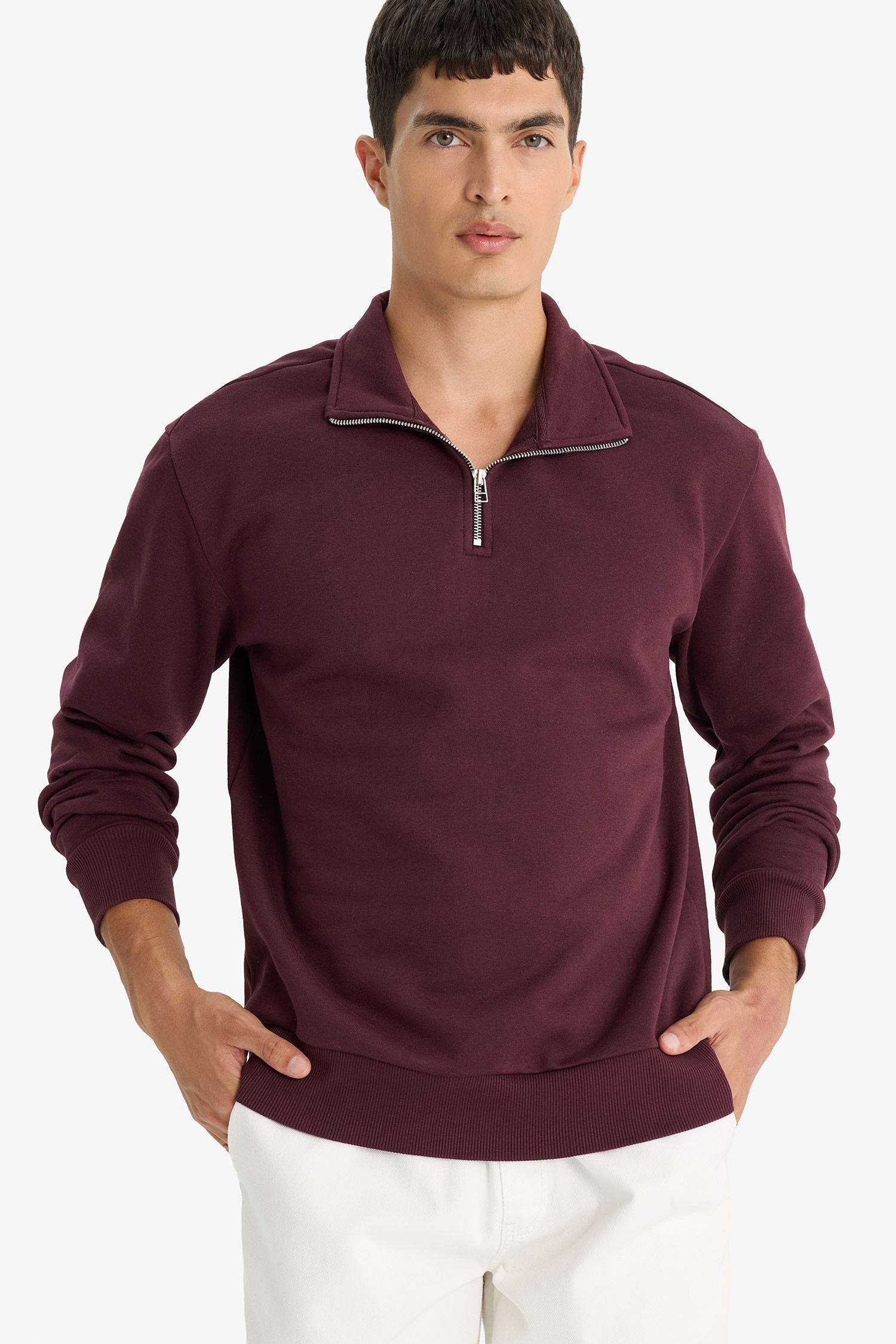 Regular Fit Dik Yaka Yarım Fermuarlı Basic Düz Sweatshirt