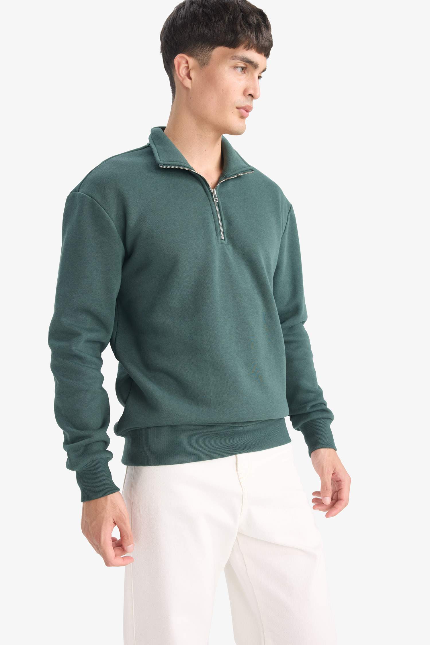 Regular Fit Stand Collar Thick Fabric Sweatshirt