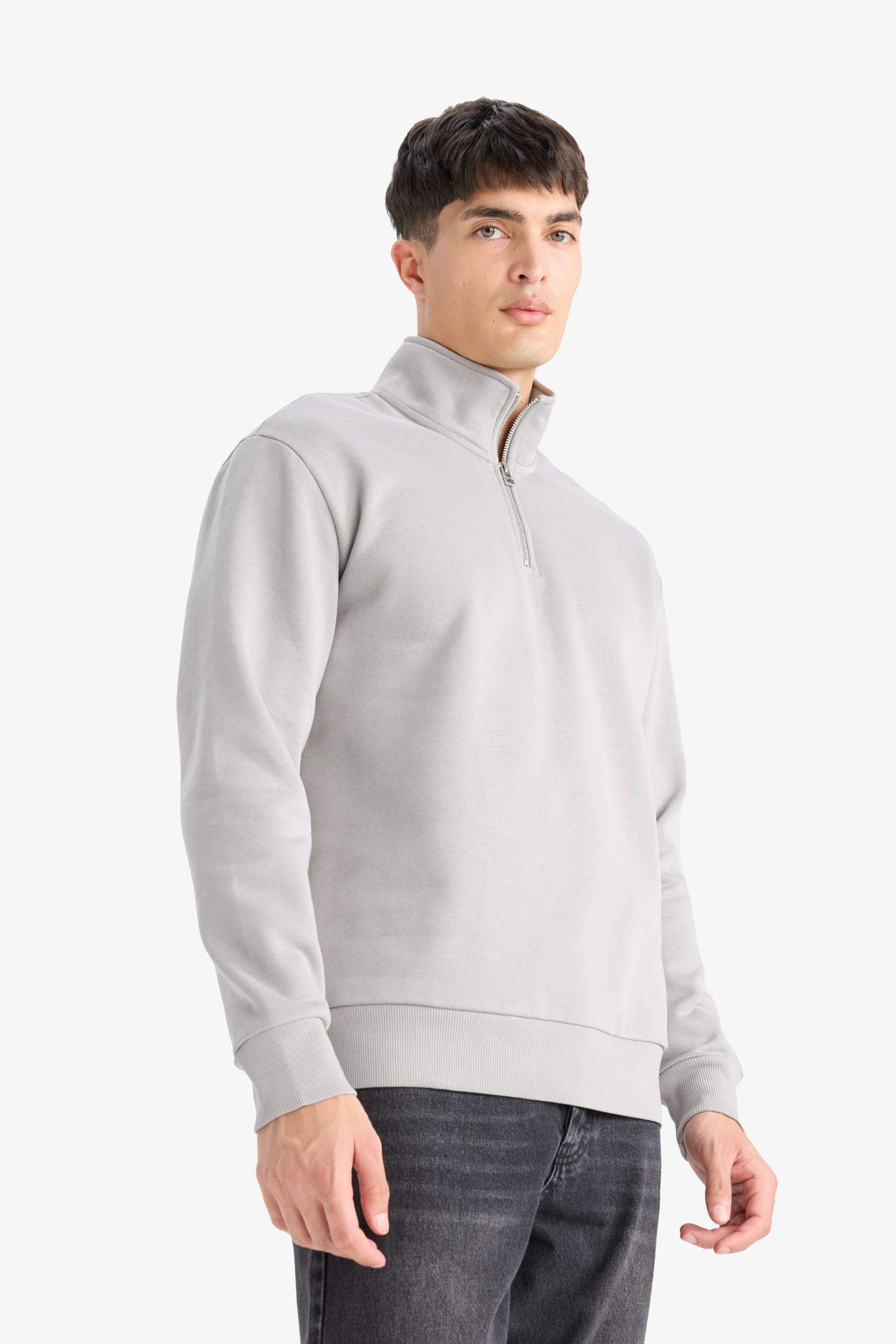 Regular Fit Half Zip High Neck Basic Sweatshirt