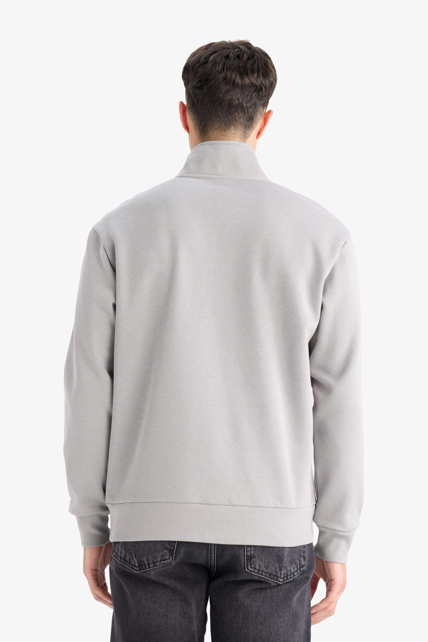 Regular Fit Half Zip High Neck Basic Sweatshirt
