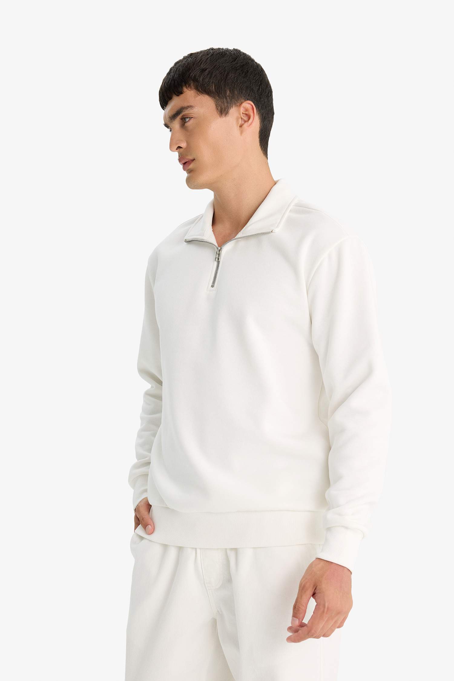 Regular Fit Dik Yaka Yarım Fermuarlı Basic Düz Sweatshirt