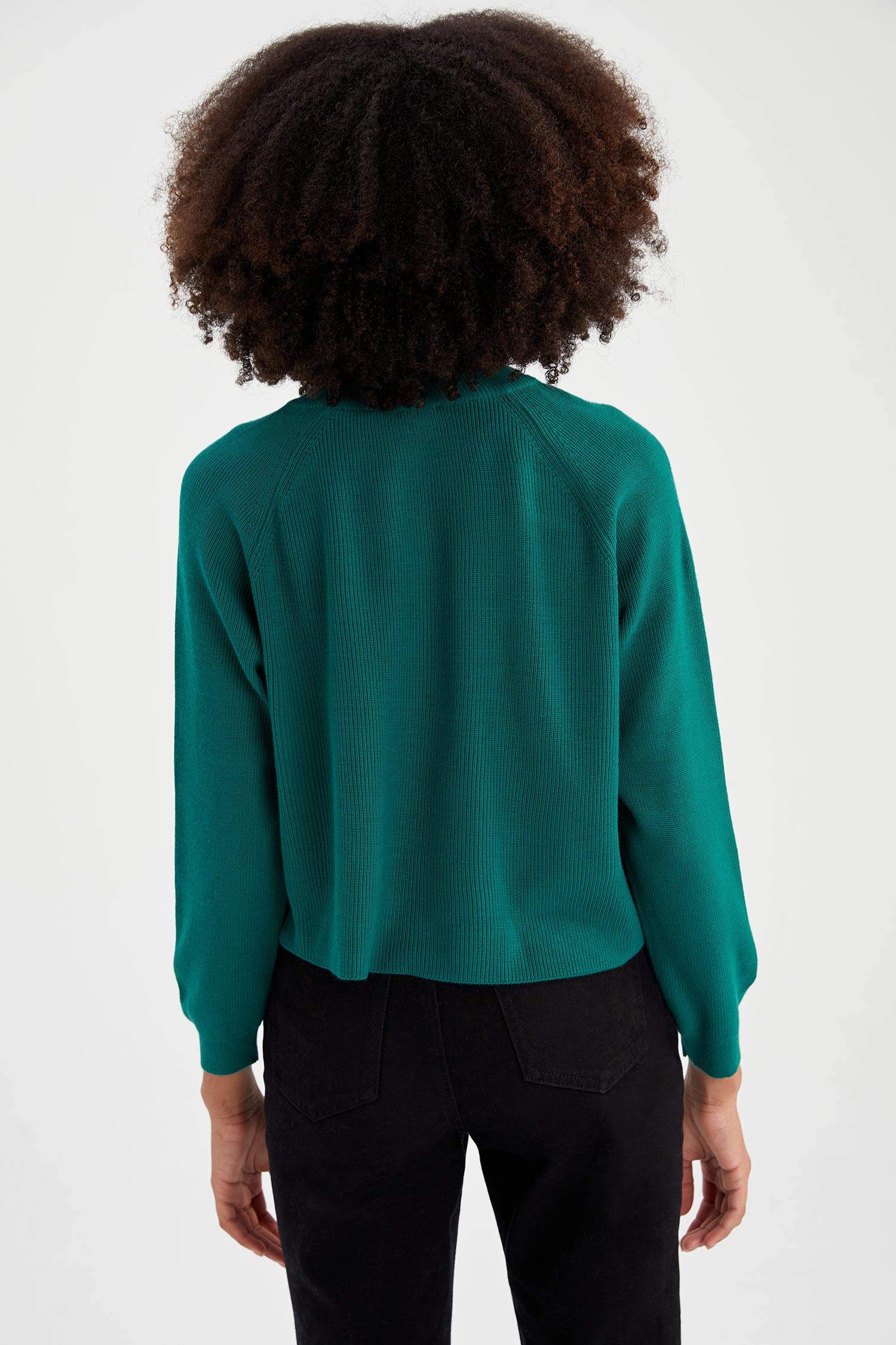 Green Woman Regular Fit Crew Neck Pullover 2489810 | DeFacto