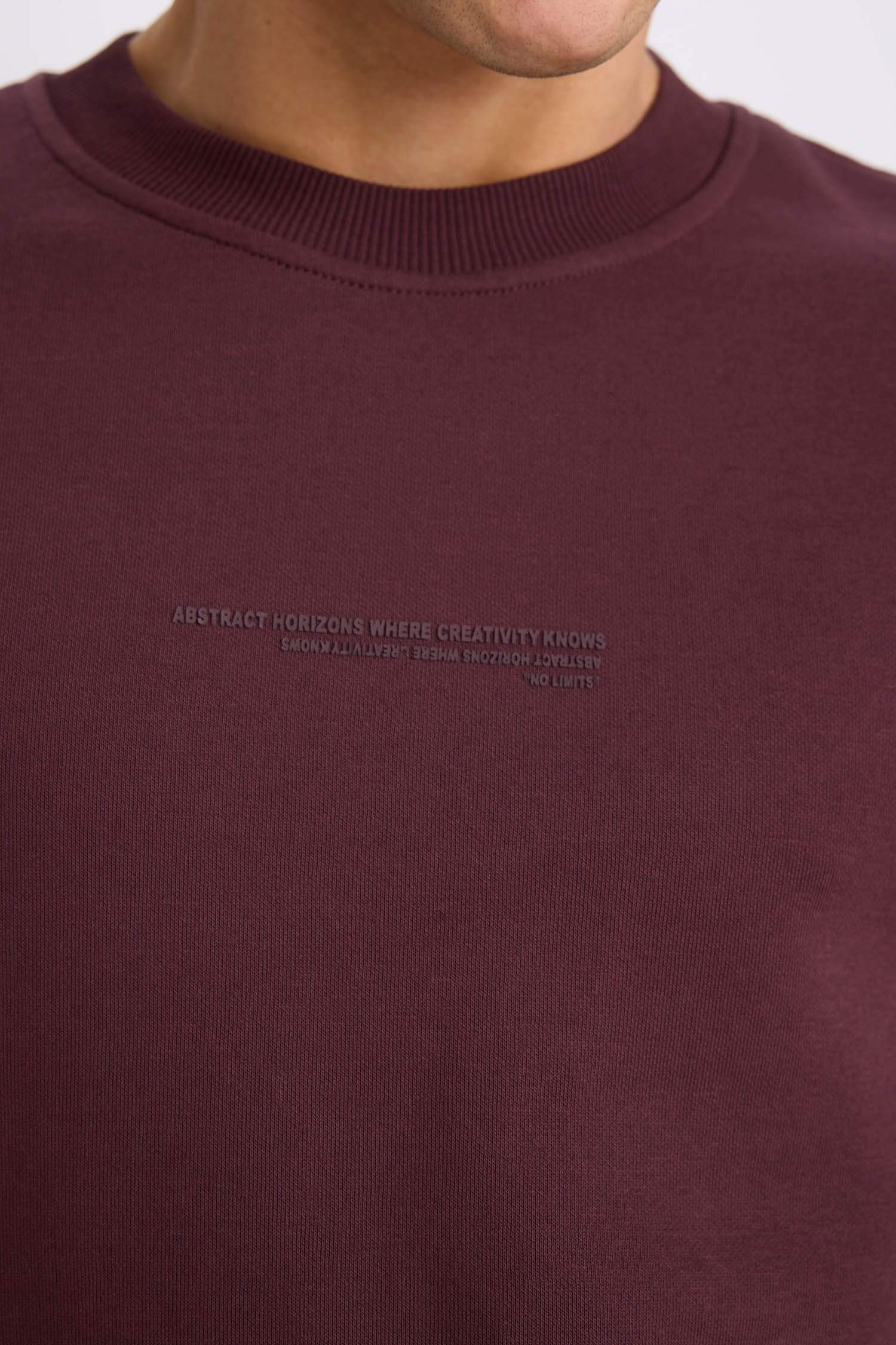 Boxy Fit Printed Long Sleeve Sweatshirt