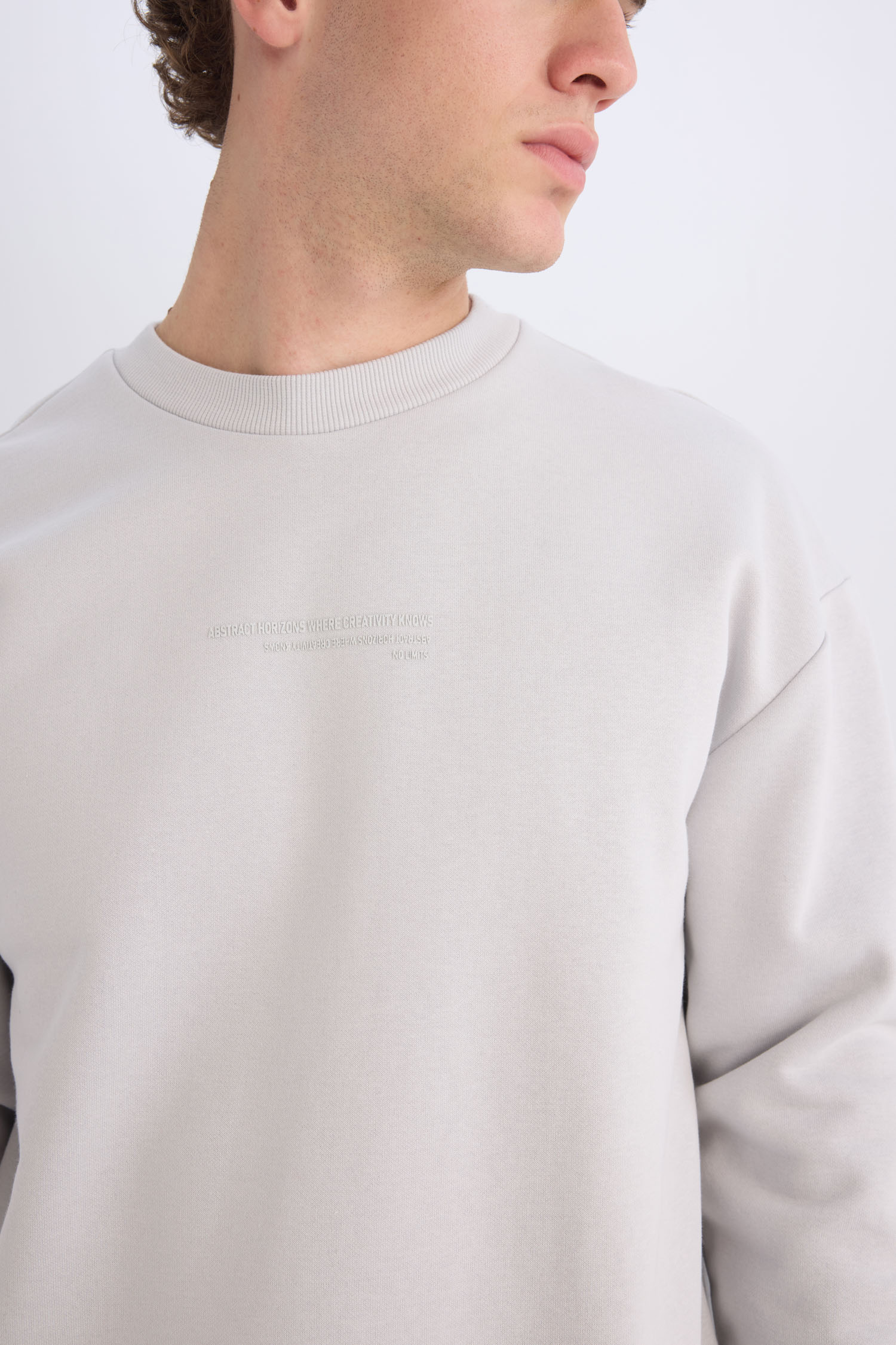 DeFacto Boxy Fit Bisiklet Yaka Baskılı Sweatshirt görsel 4