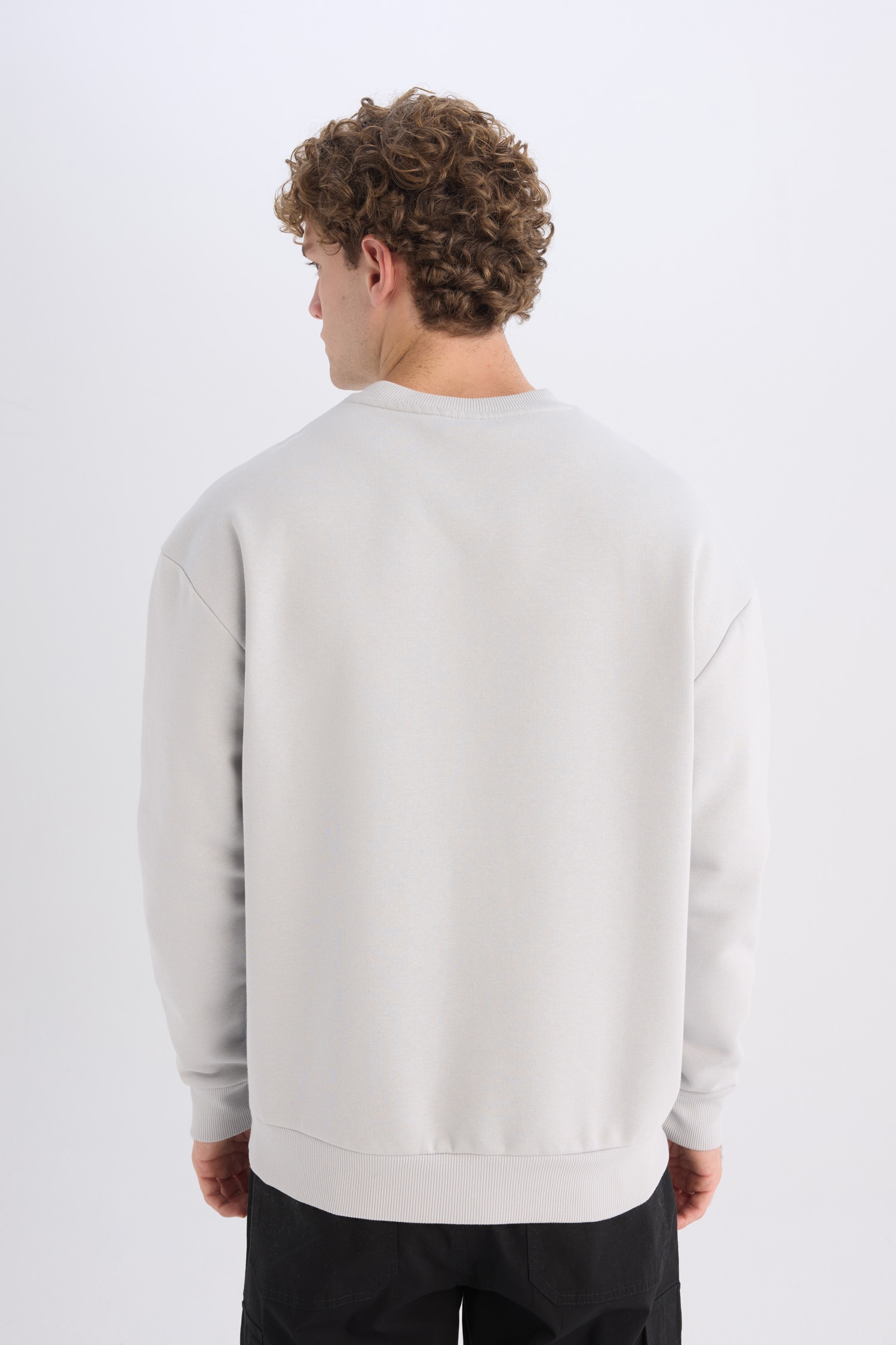 DeFacto Boxy Fit Bisiklet Yaka Baskılı Sweatshirt görsel 5