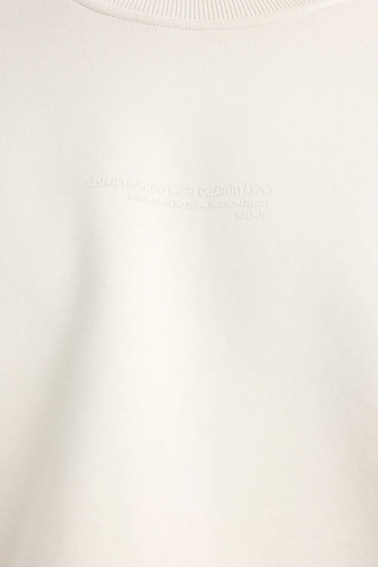 Boxy Fit Bisiklet Yaka İçi Yumuşak Tüylü Baskılı Sweatshirt