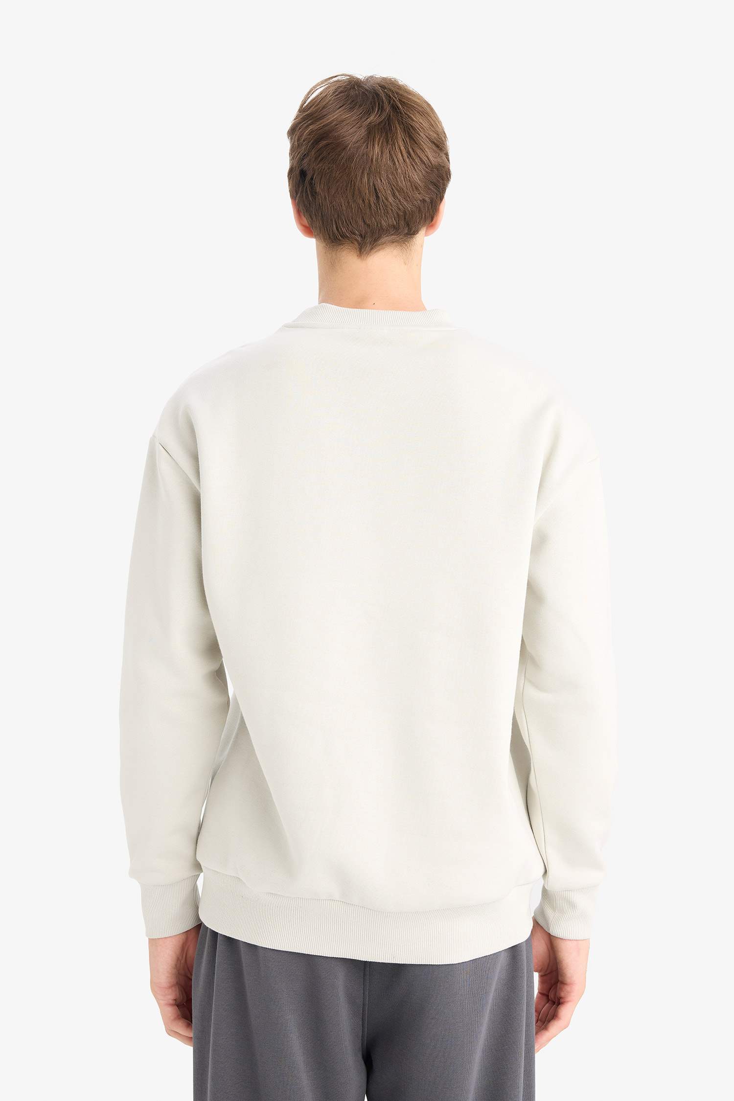 Boxy Fit Bisiklet Yaka İçi Yumuşak Tüylü Baskılı Sweatshirt