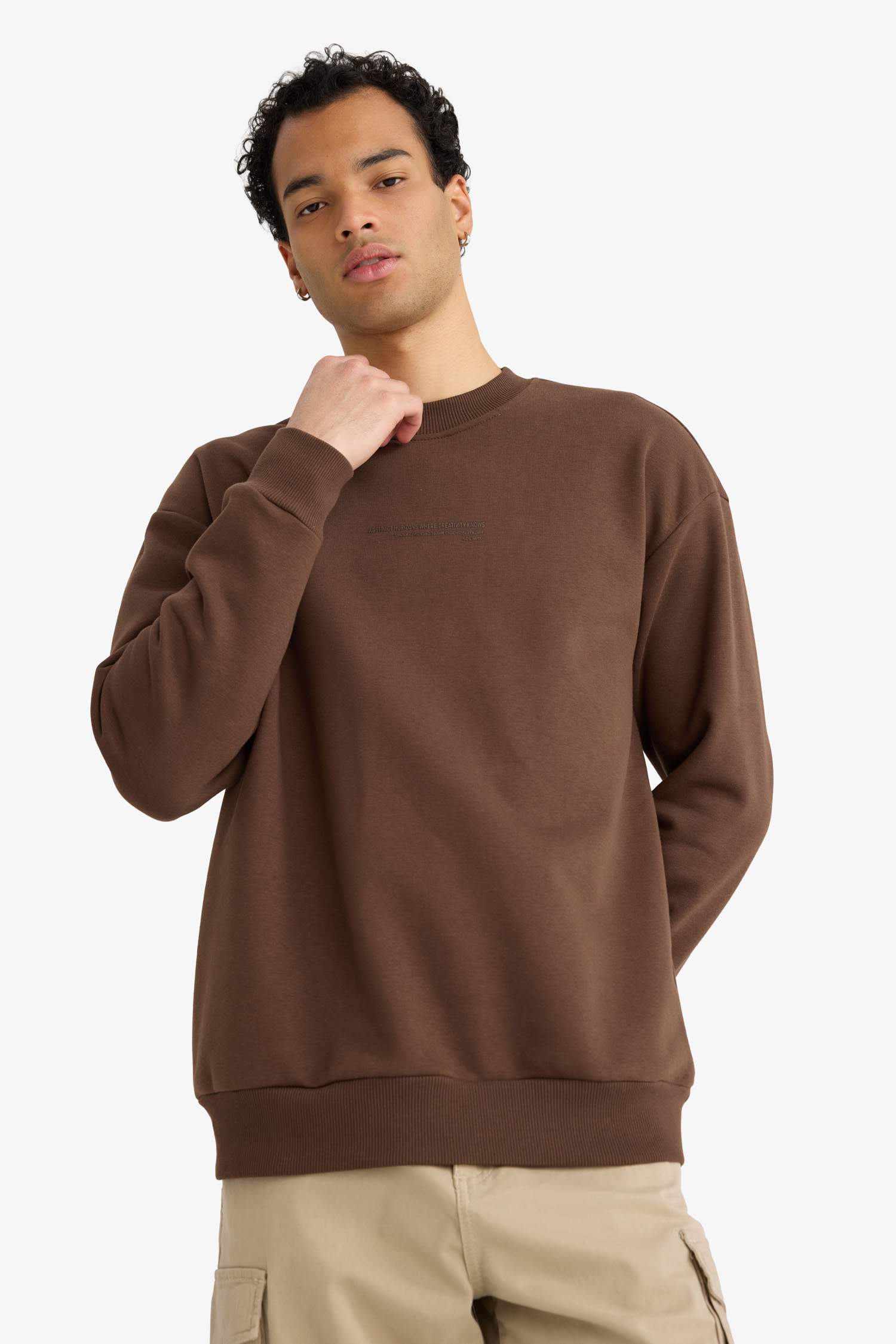 Boxy Fit Bisiklet Yaka İçiğ Yumuşak Tüylü Baskılı Sweatshirt