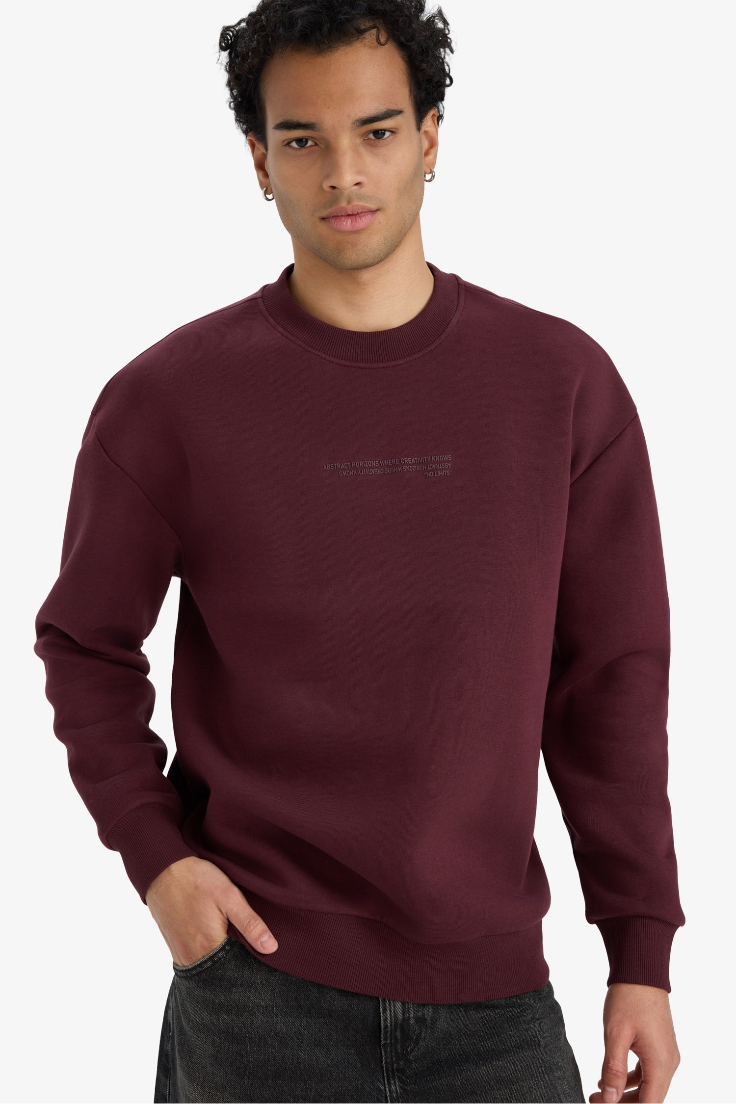 Boxy Fit Bisiklet Yaka İçi Yumuşak Tüylü Baskılı Sweatshirt