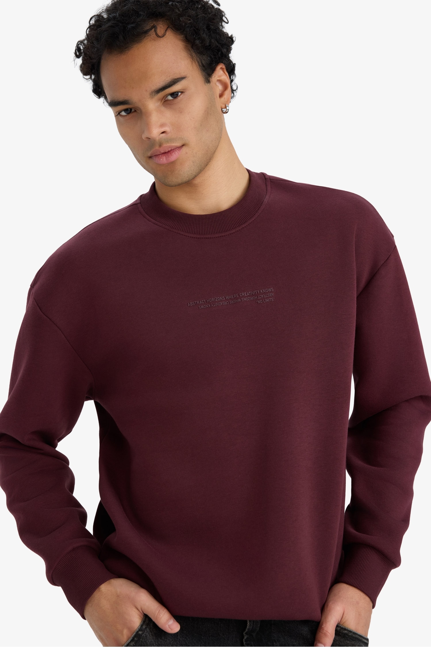 Boxy Fit Bisiklet Yaka İçi Yumuşak Tüylü Baskılı Sweatshirt