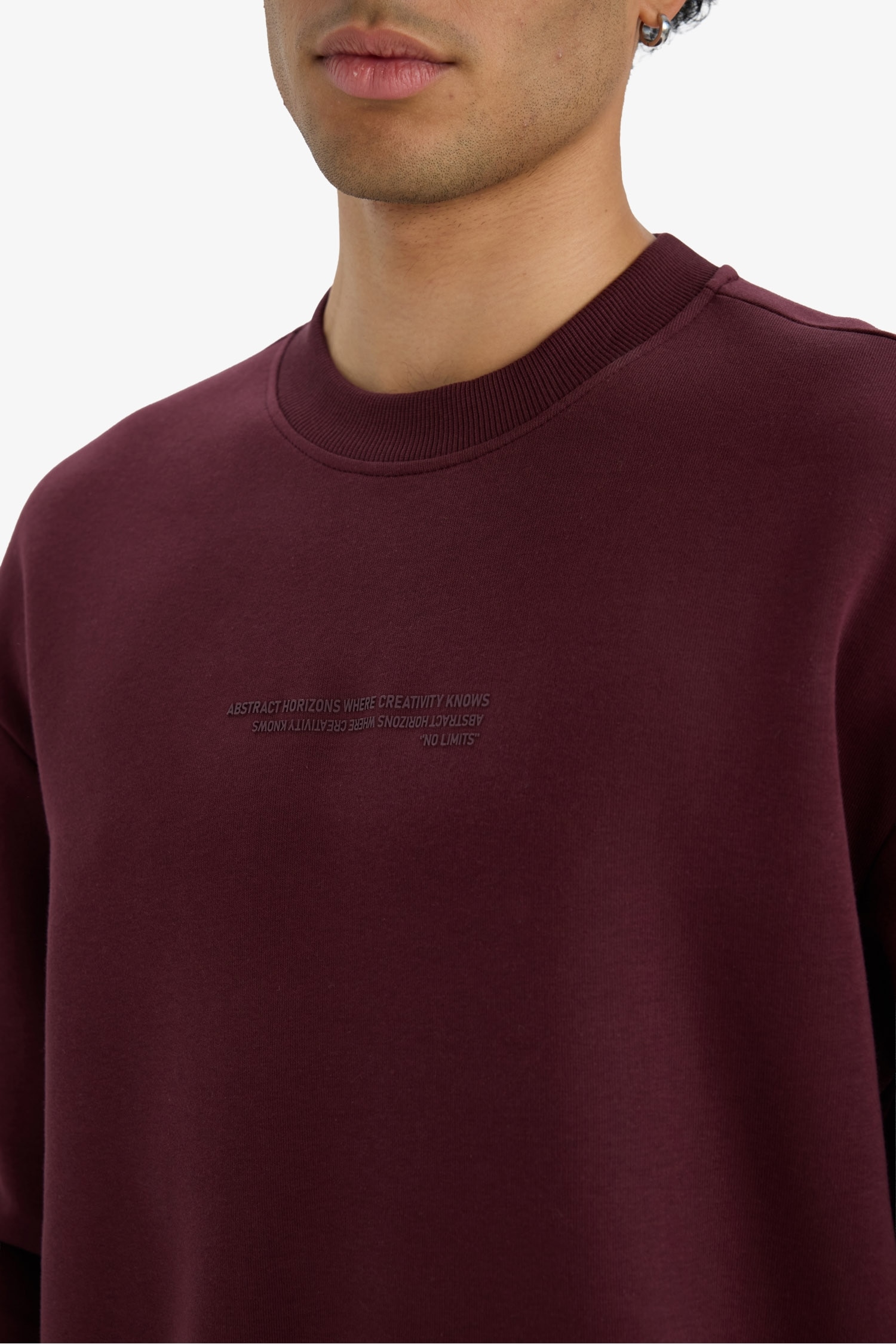 Boxy Fit Bisiklet Yaka İçi Yumuşak Tüylü Baskılı Sweatshirt