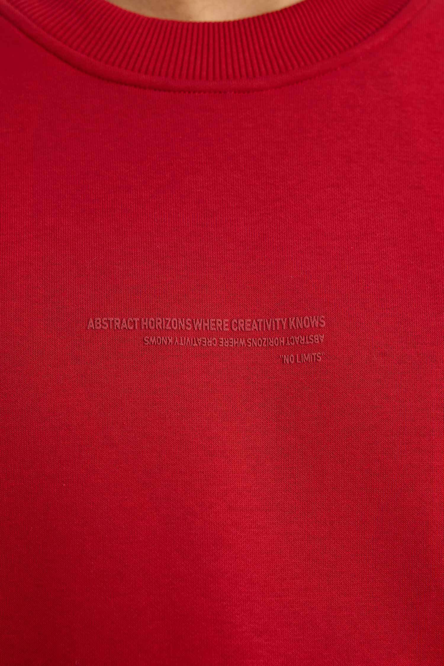 Boxy Fit Bisiklet Yaka İçi Yumuşak Tüylü Baskılı Sweatshirt