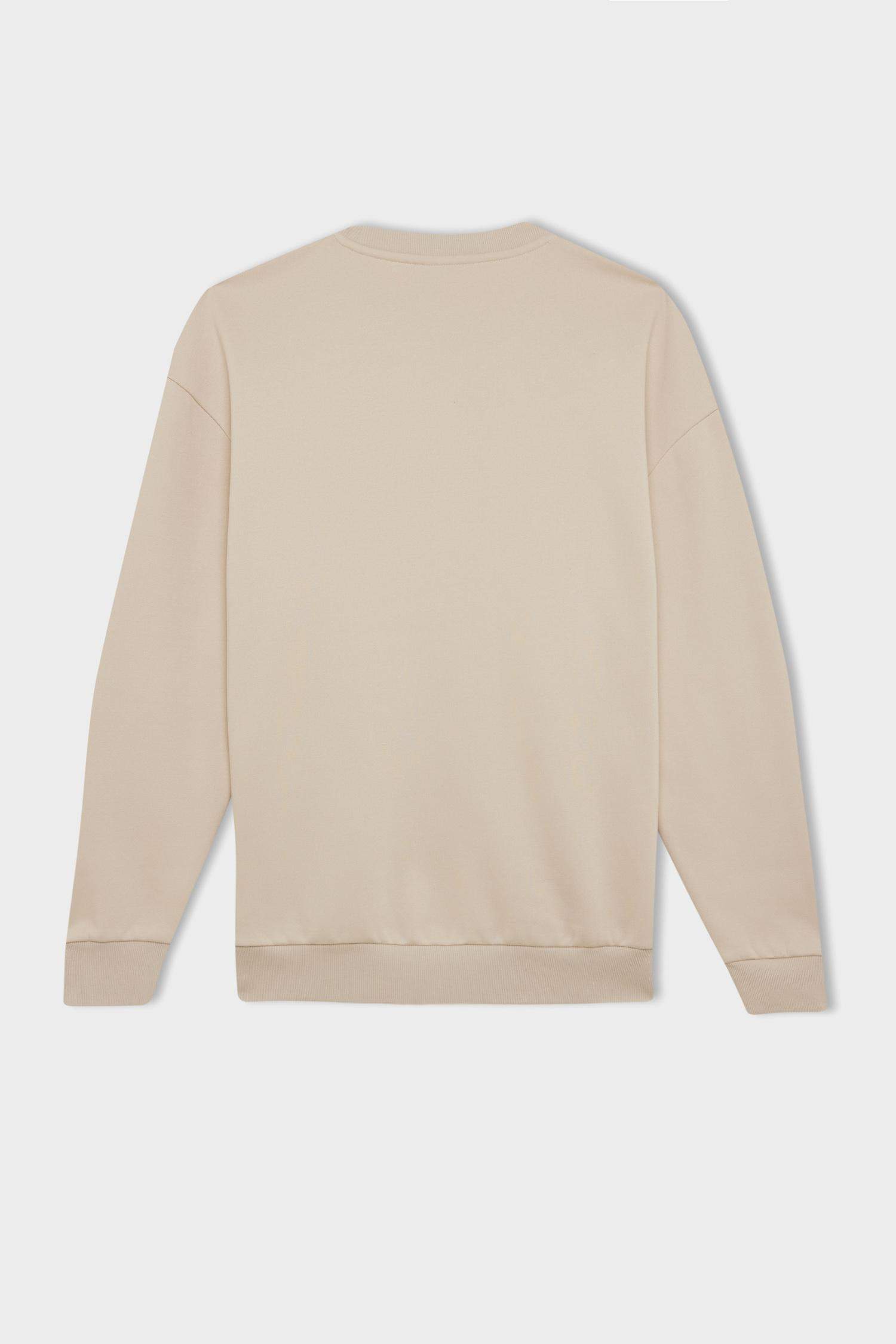 Boxy Fit Printed Long Sleeve Sweatshirt