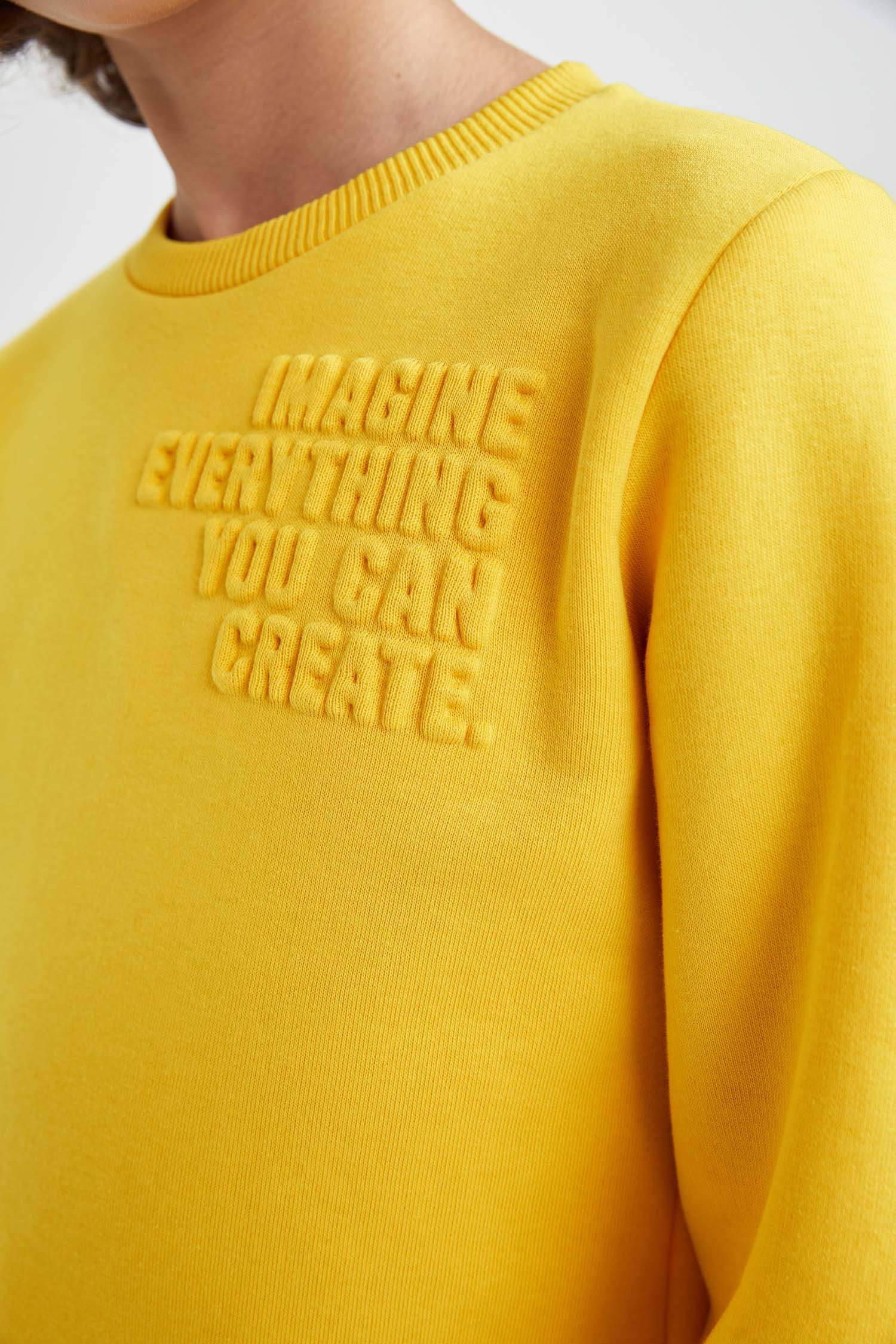 Regular Fit Crew Neck Sweatshirt