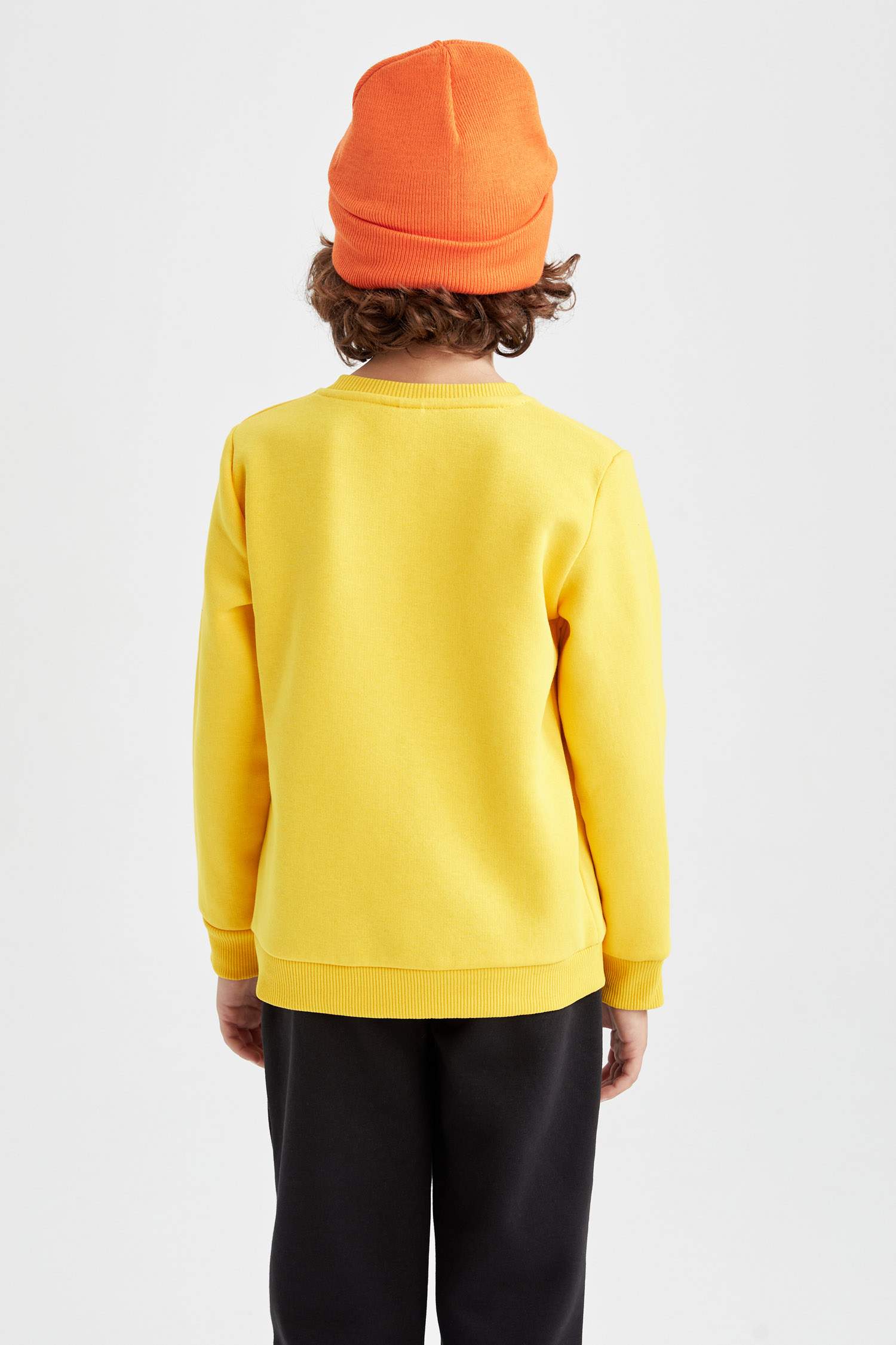 Regular Fit Crew Neck Sweatshirt