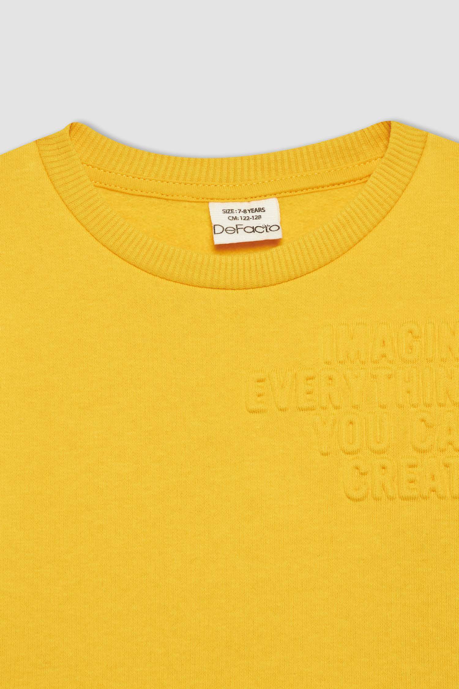 Regular Fit Crew Neck Sweatshirt