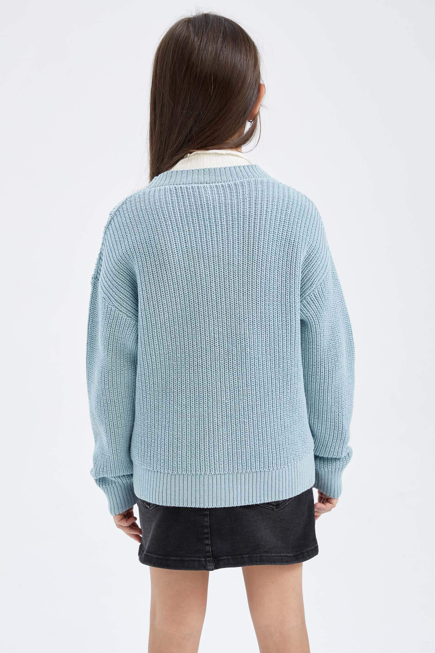 Regular Fit V-Neck Cardigan