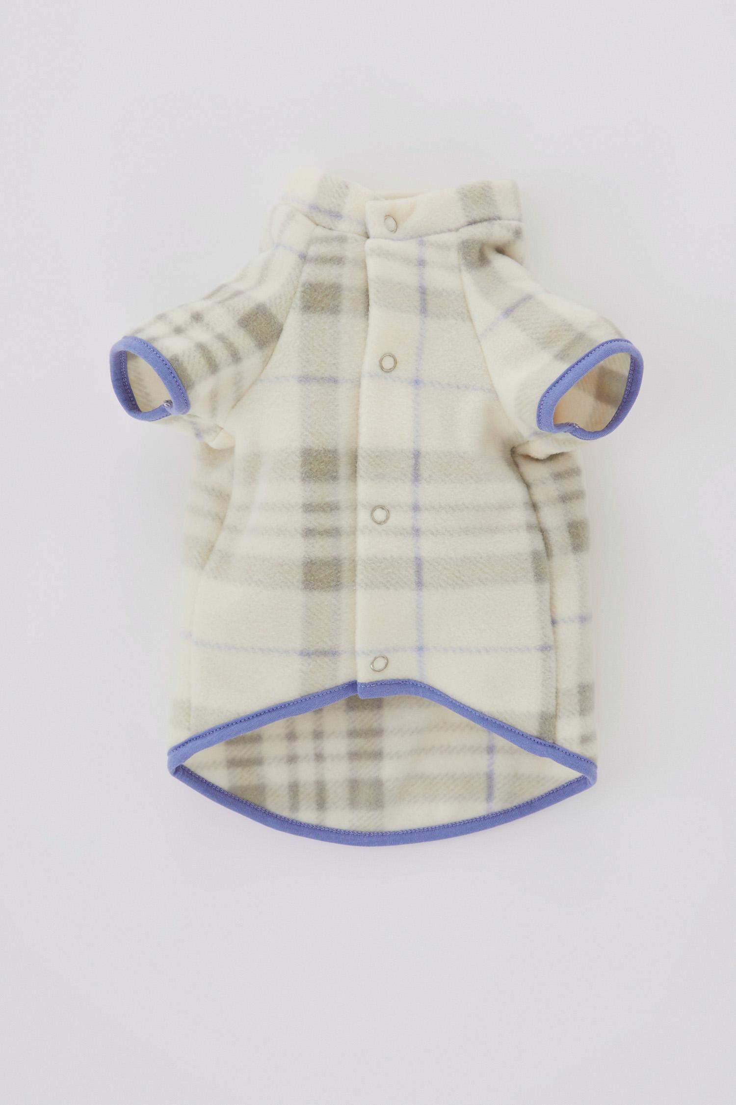 سويت شيرت بقصة عادية بياقة مستديرة بأكمام قصيرة