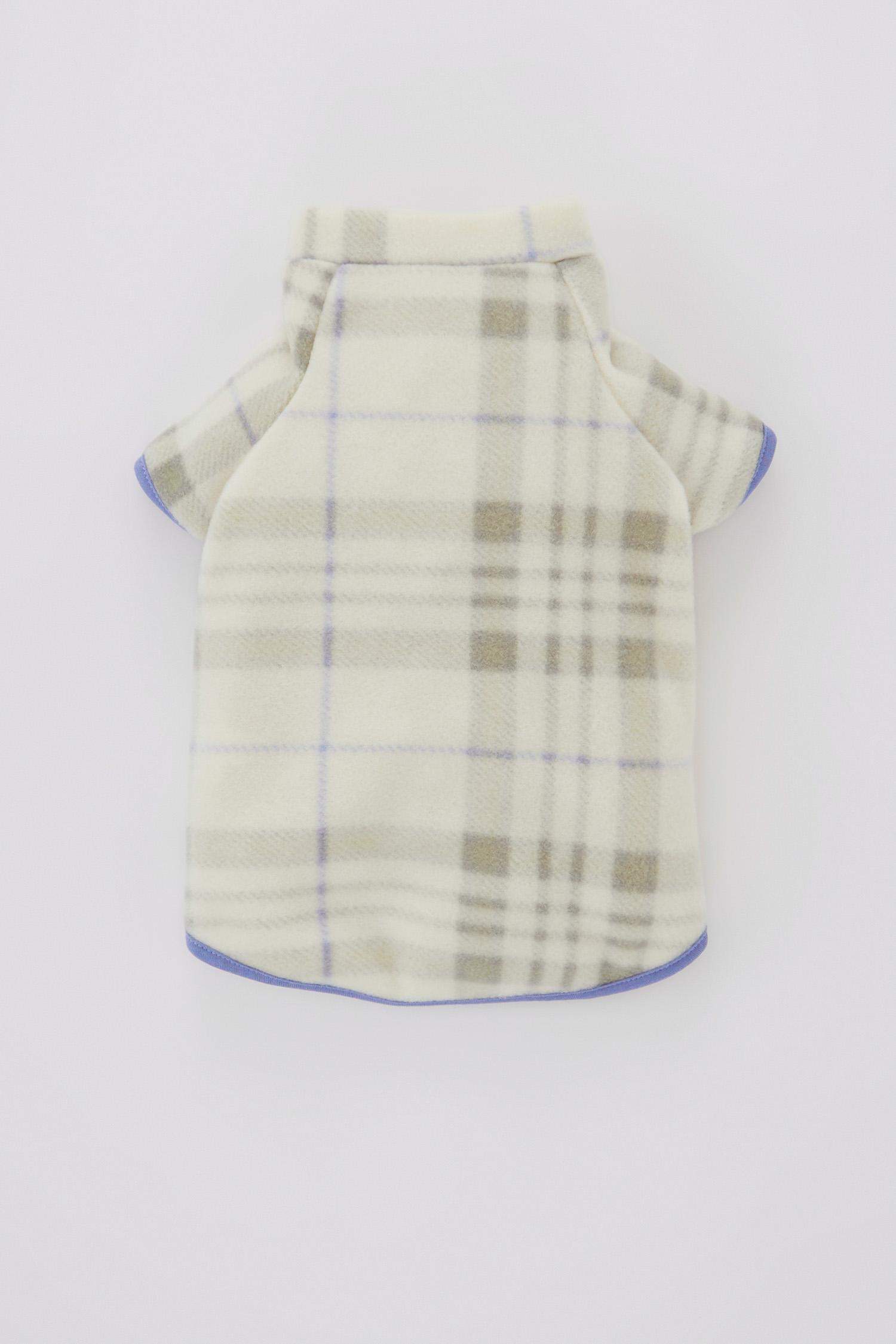 سويت شيرت بقصة عادية بياقة مستديرة بأكمام قصيرة