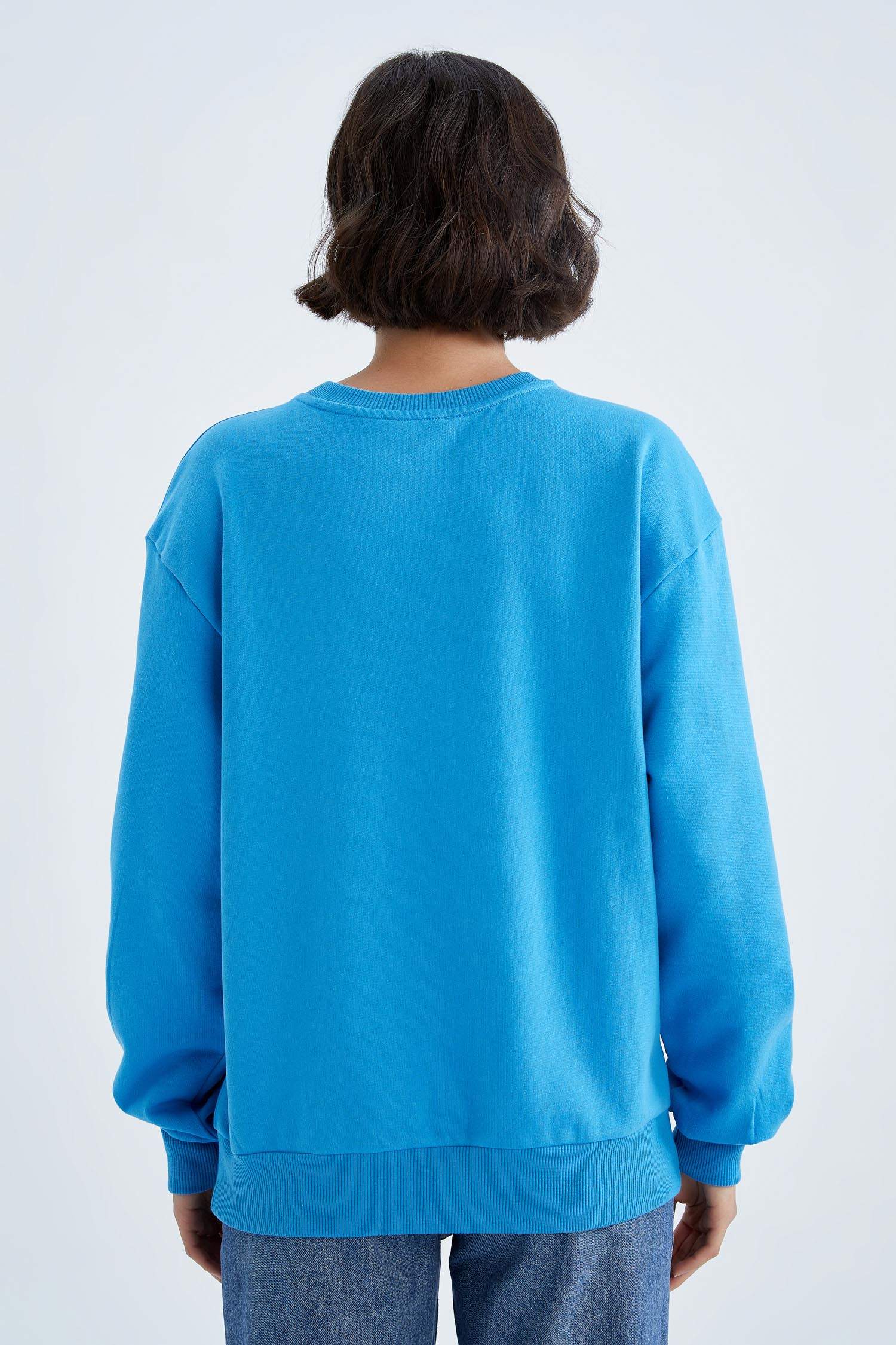 Blue WOMEN Regular Fit Crew Neck Long Sleeve Thin Fabric Sweatshirt ...