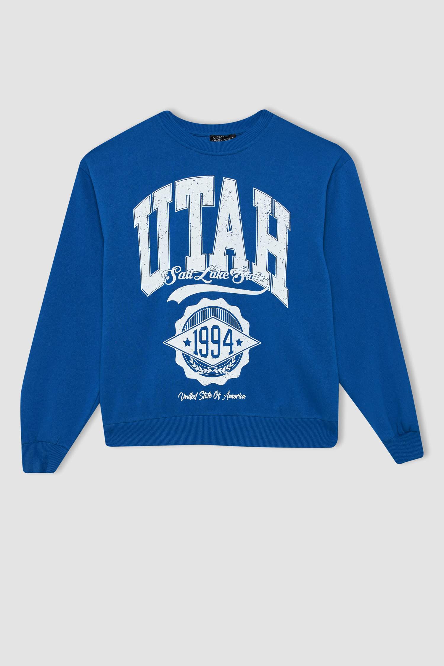 سويت شيرت قصة عادية بياقة مستديرة