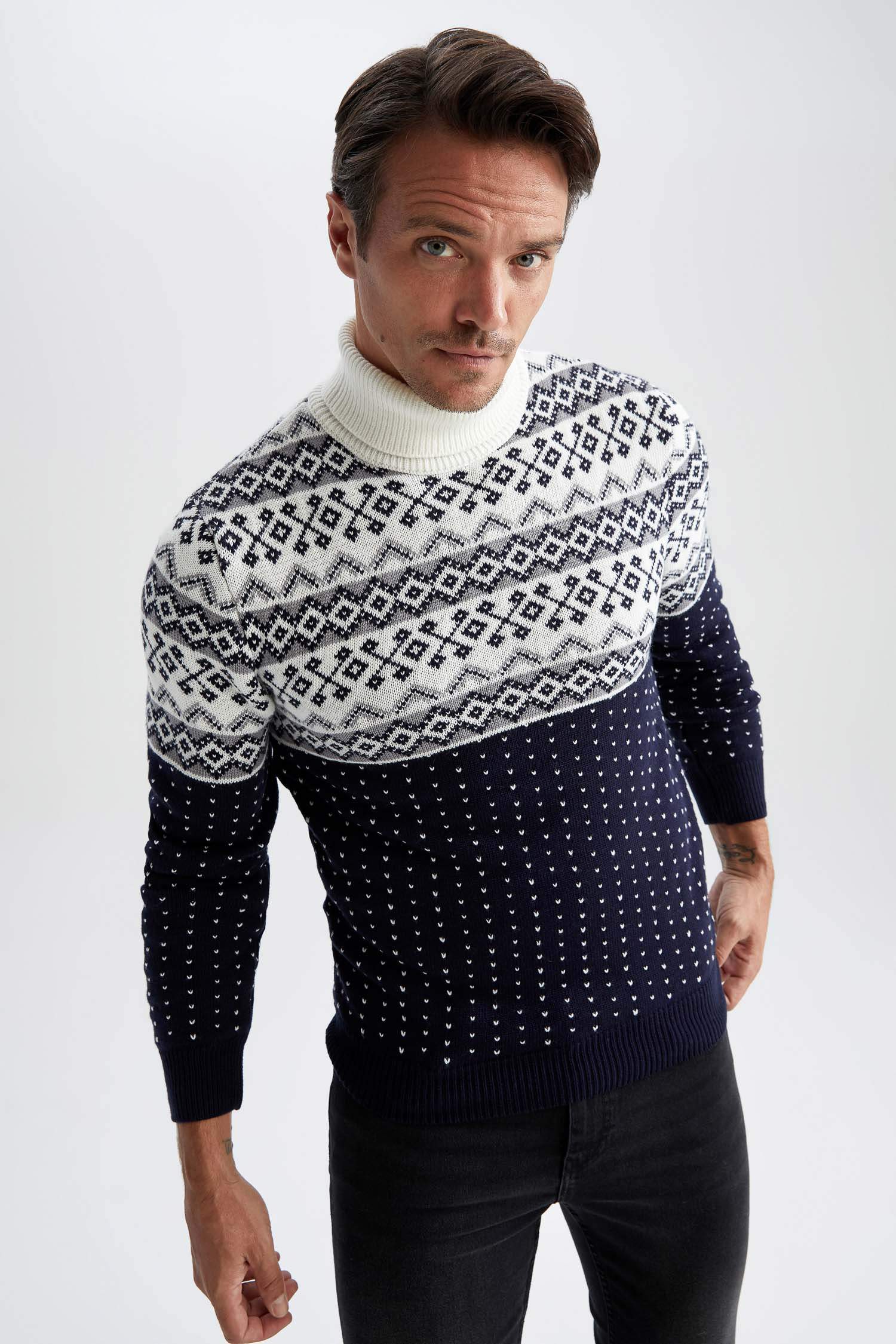 Regular Fit Turtleneck Knitwear Pullover