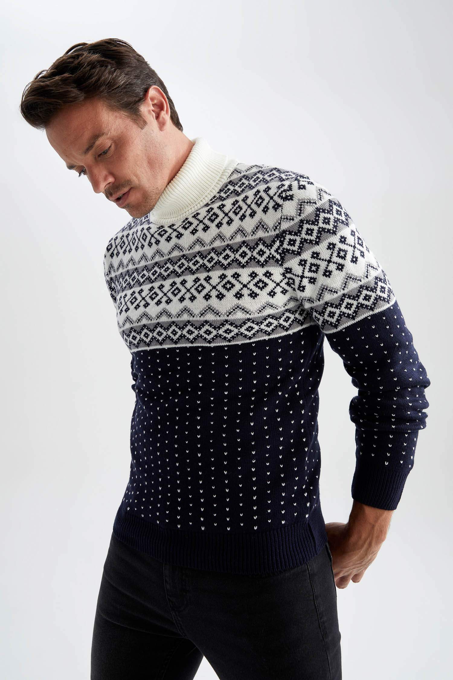 Regular Fit Turtleneck Knitwear Pullover