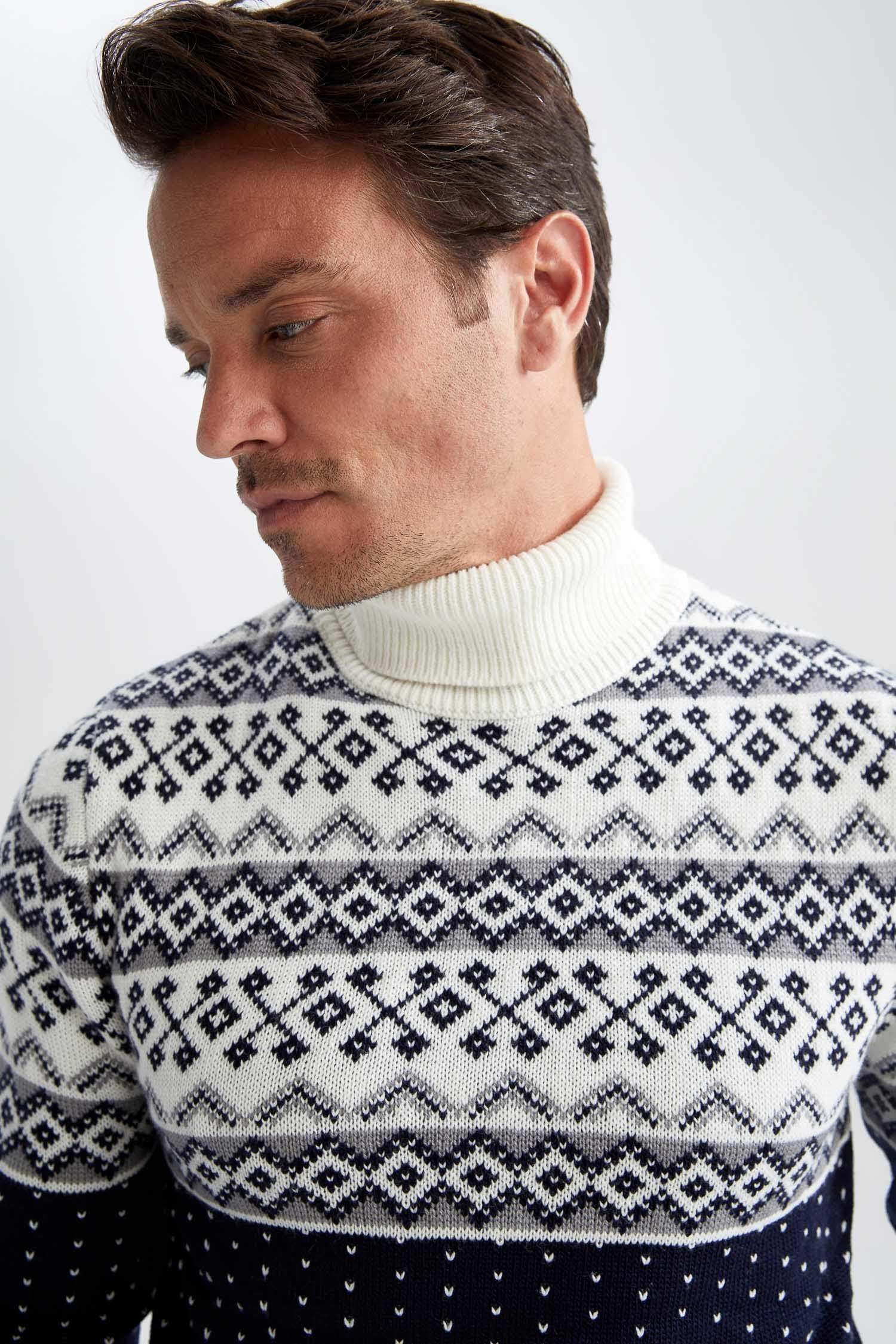 Regular Fit Turtleneck Knitwear Pullover