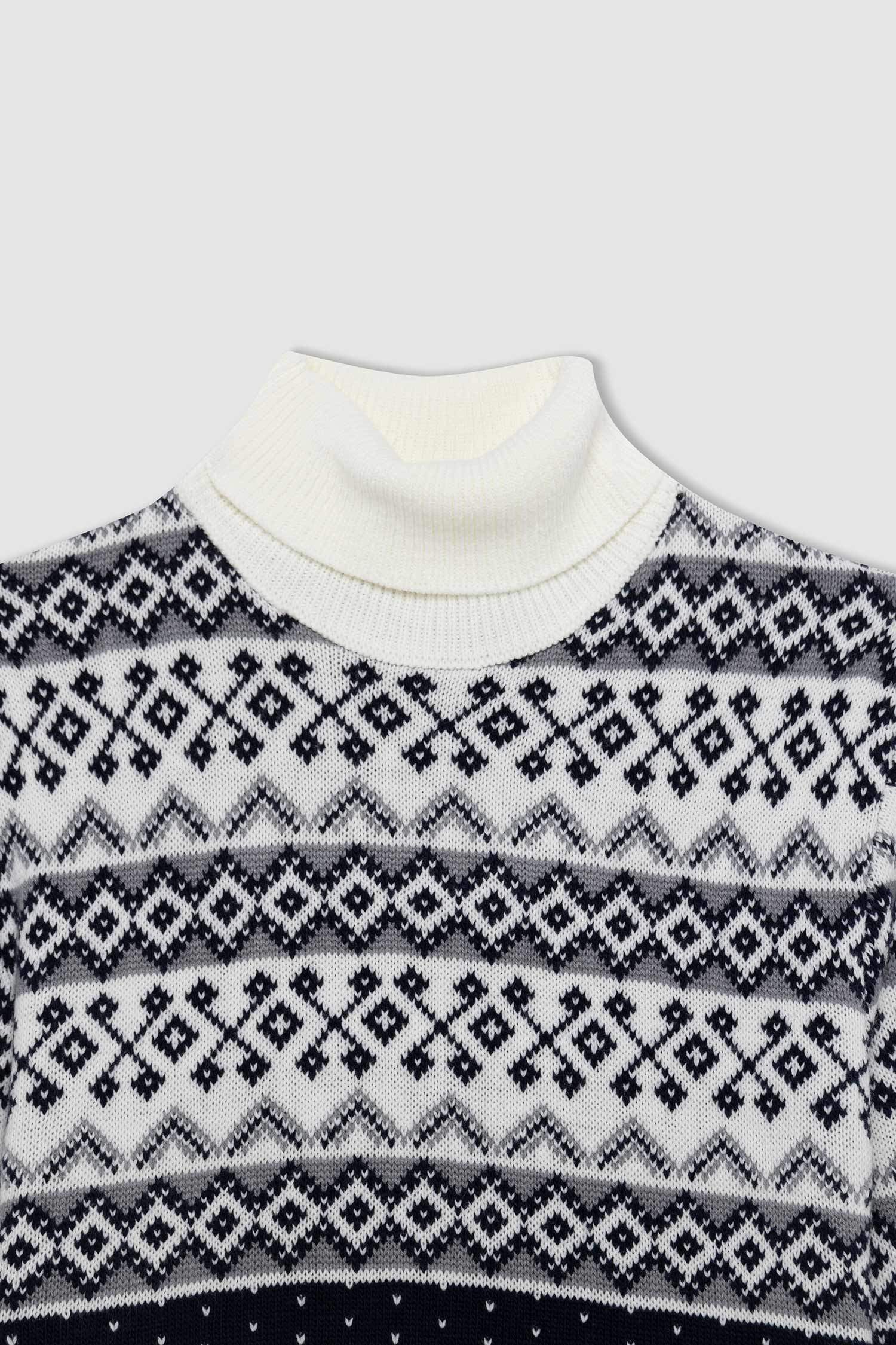 Regular Fit Turtleneck Knitwear Pullover