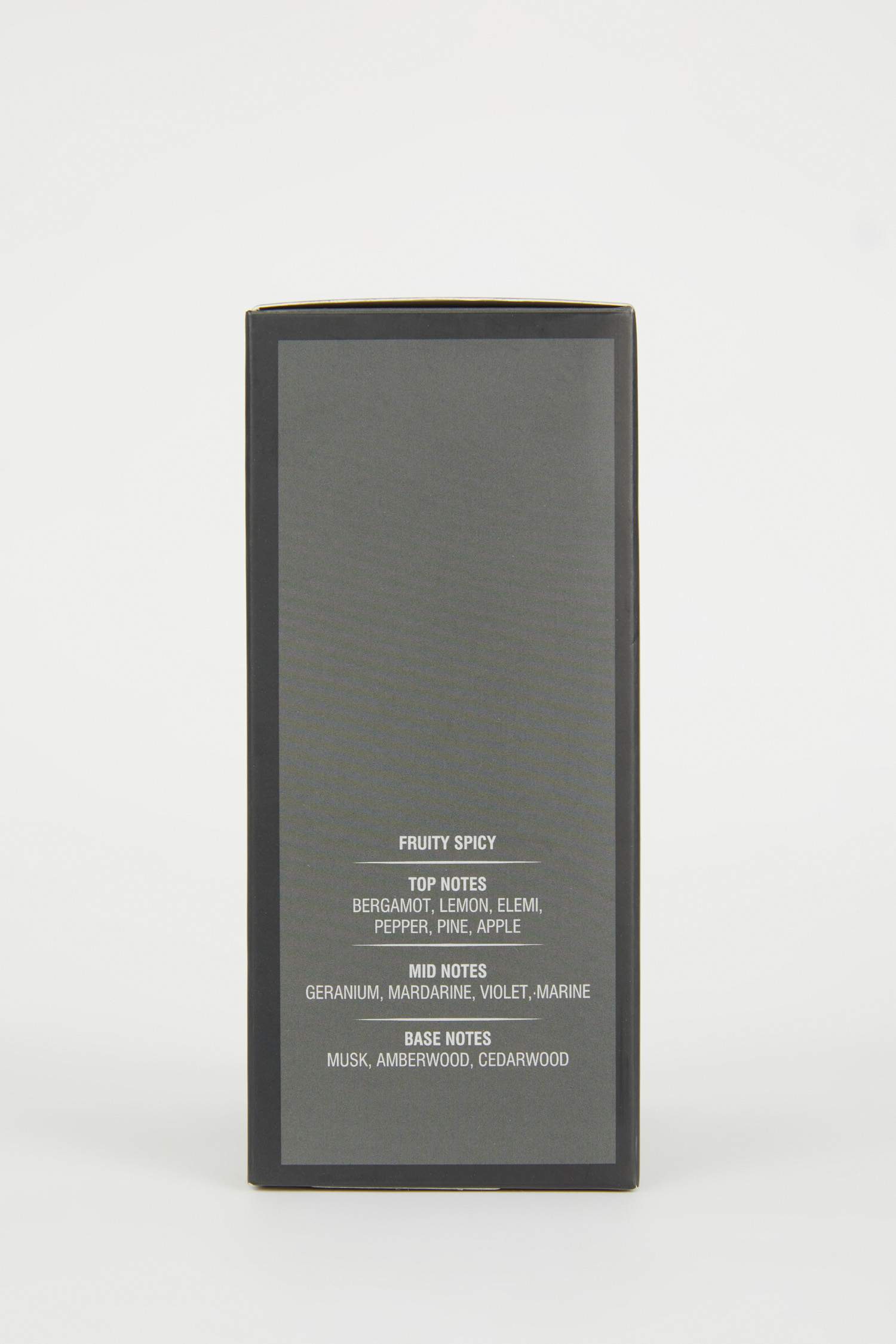 Iron Gray Aromatic 100 ml Man Perfume