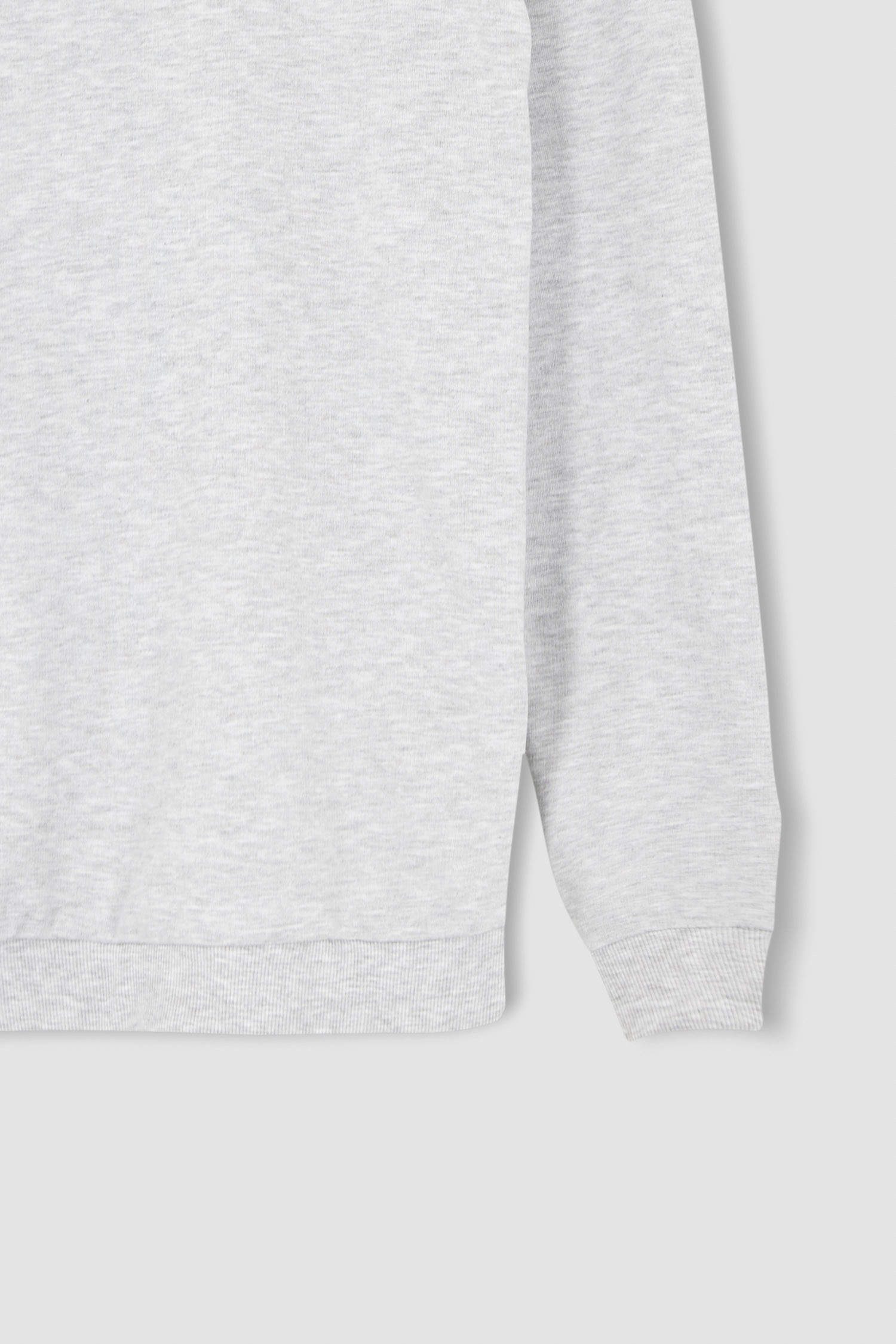 Grey MEN Regular Fit Sweatshirt 2540071 | DeFacto