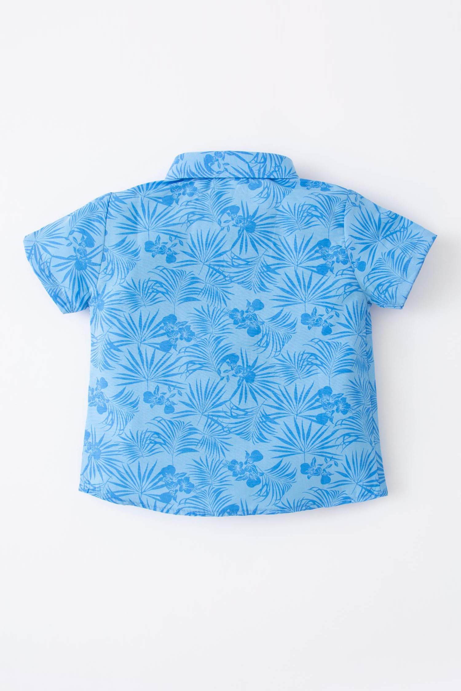 Қысқа Жеңді Жейде