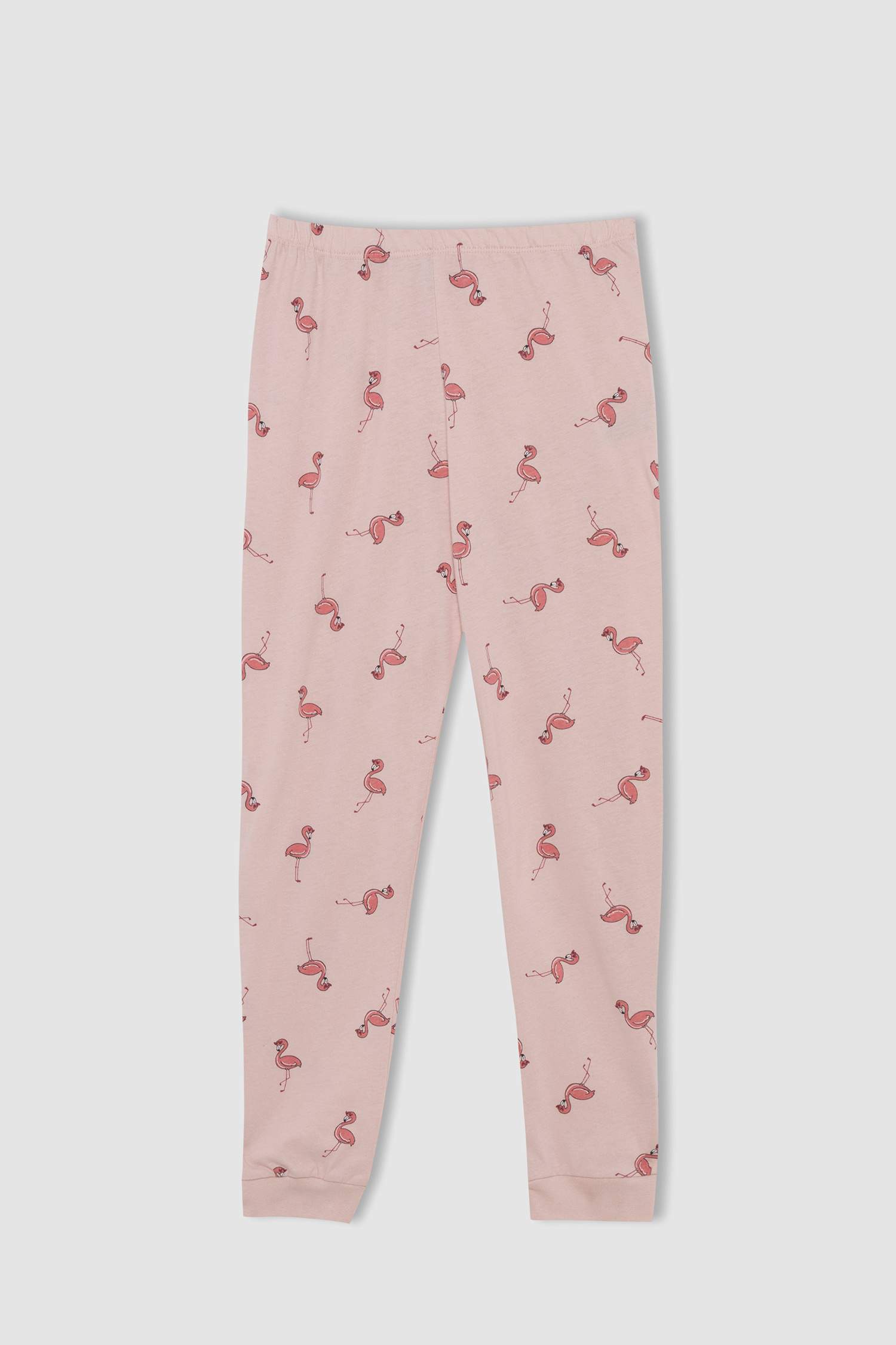 Girl Flamingo Printed Long Sleeve Pajamas Set