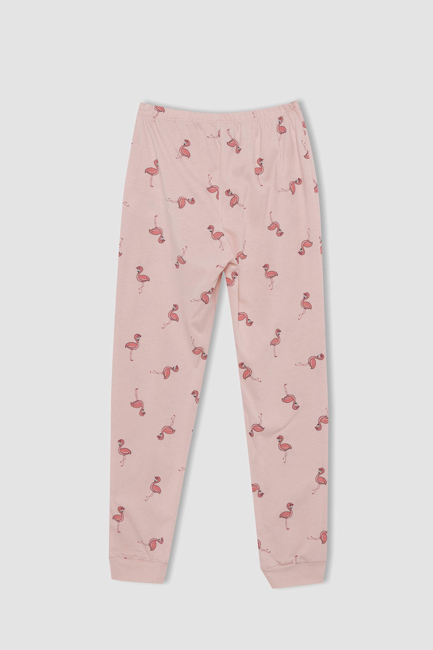 Girl Flamingo Printed Long Sleeve Pajamas Set