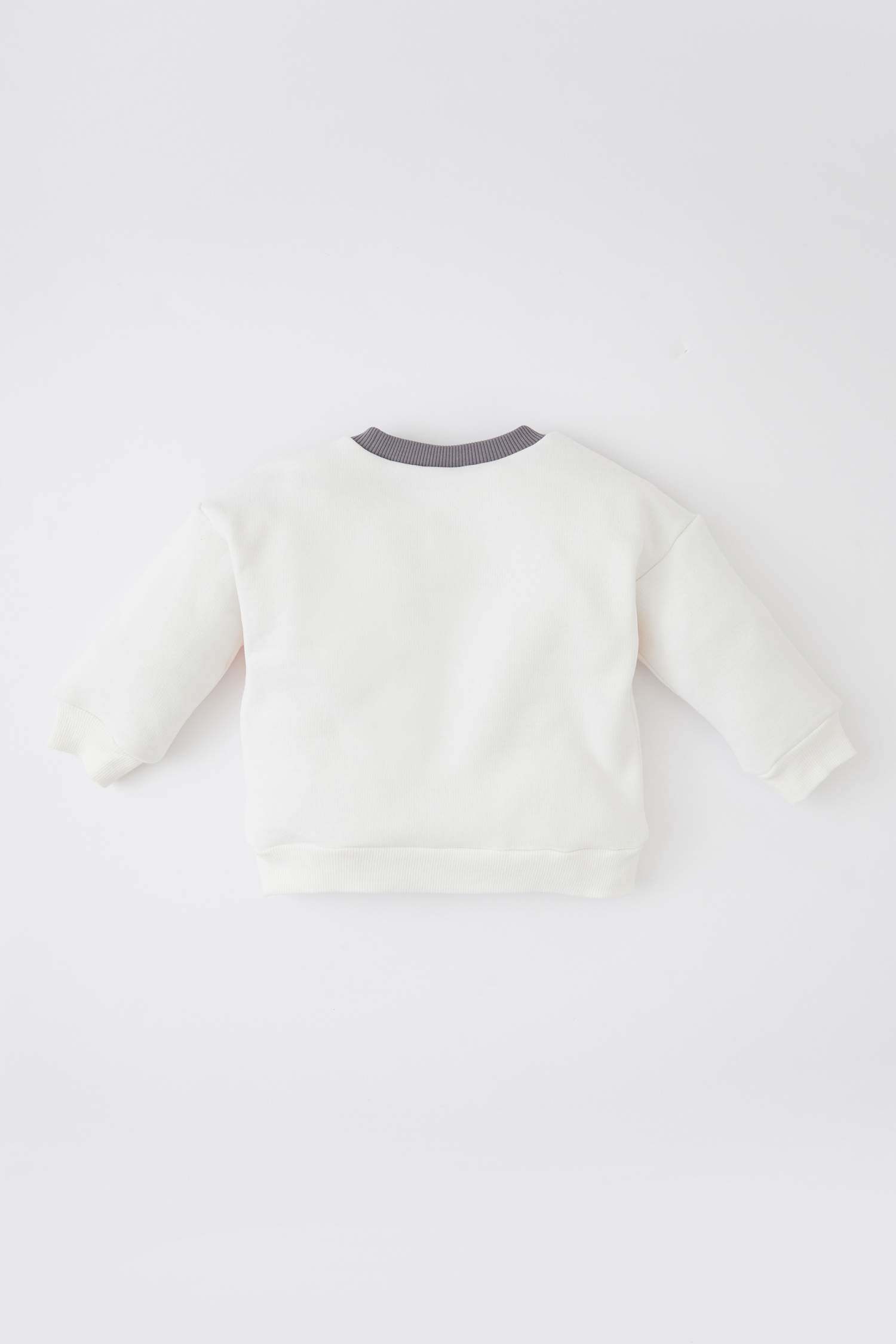 Beige BABY BOY Regular Fit Color Block Crew Neck Sweatshirt 2562290