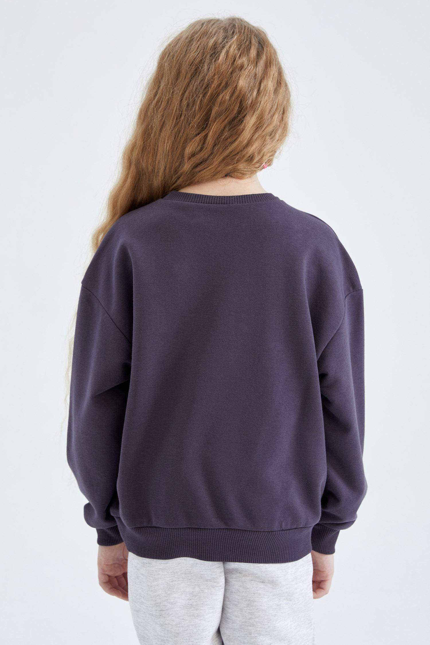 Regular Fit Harry Potter Licensed Sweatshirt