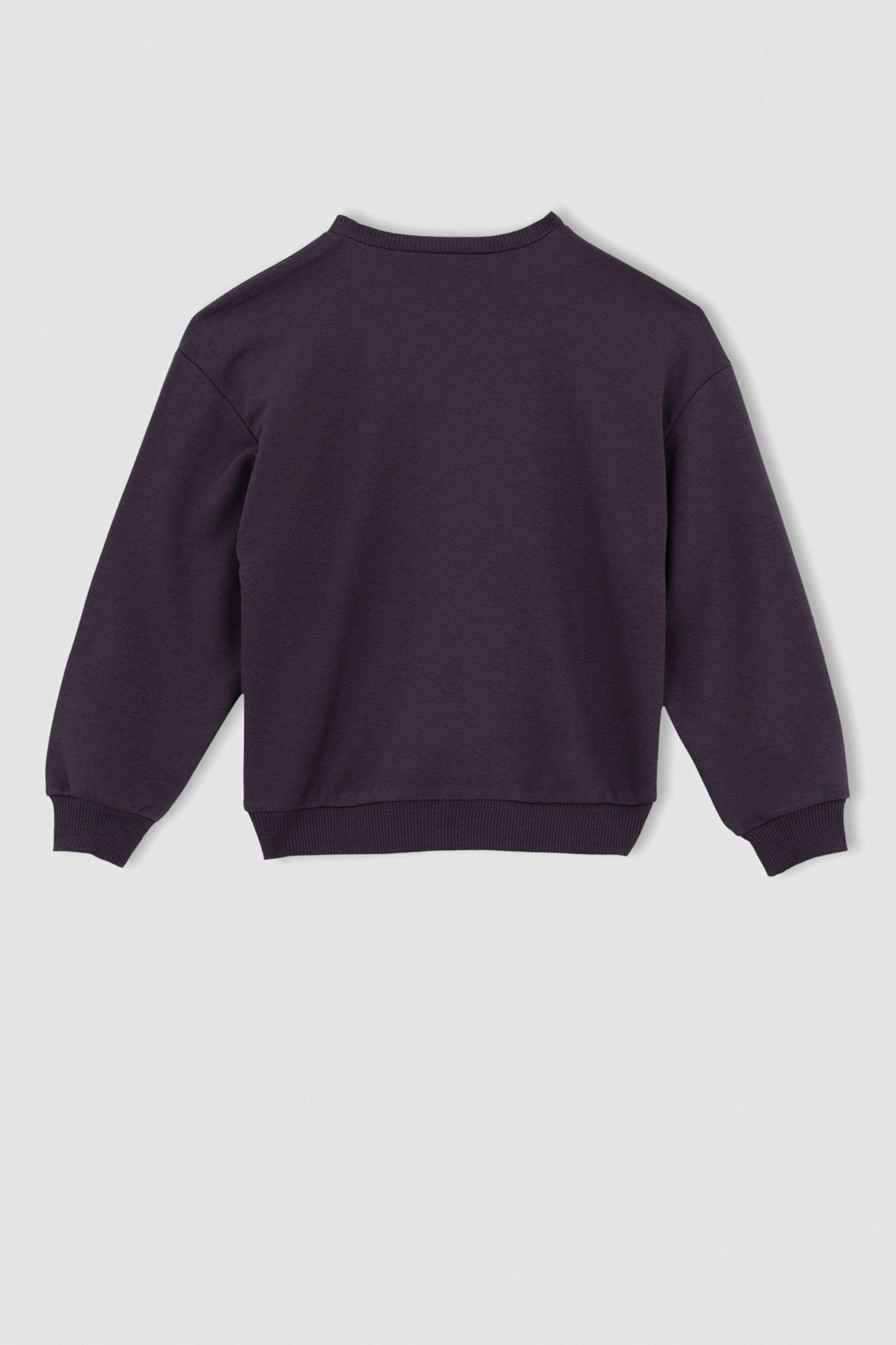 Regular Fit Harry Potter Licensed Sweatshirt