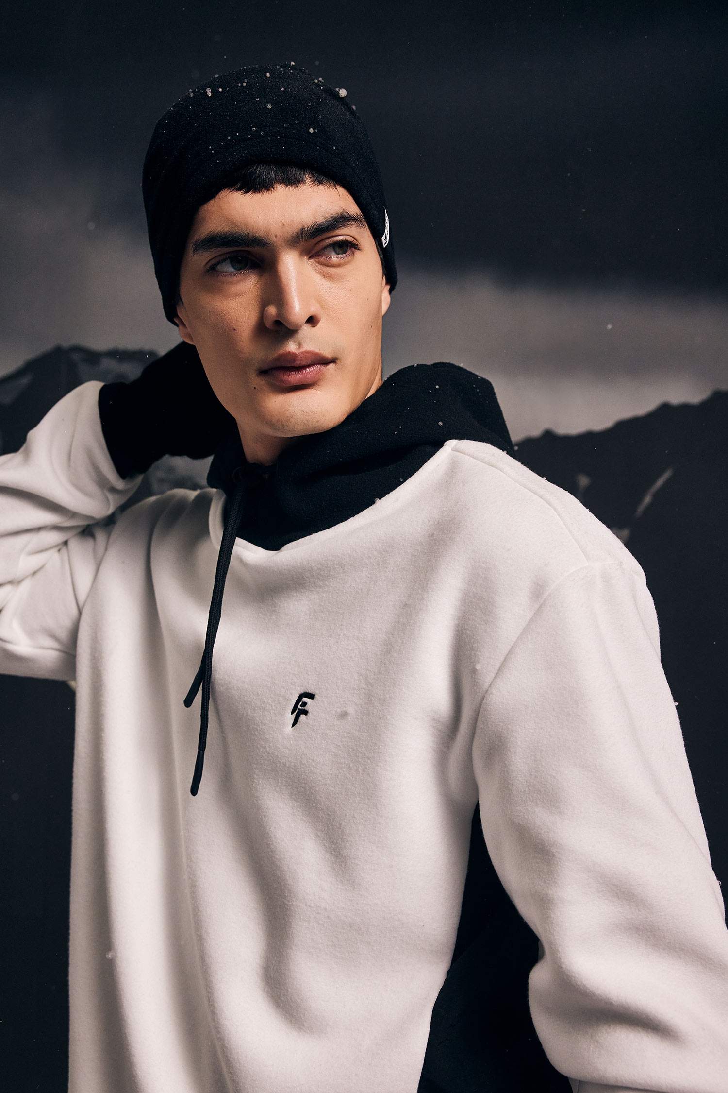 DeFactoFit Standard Fit Printed Hooded Polar Fleece Sweatshirt