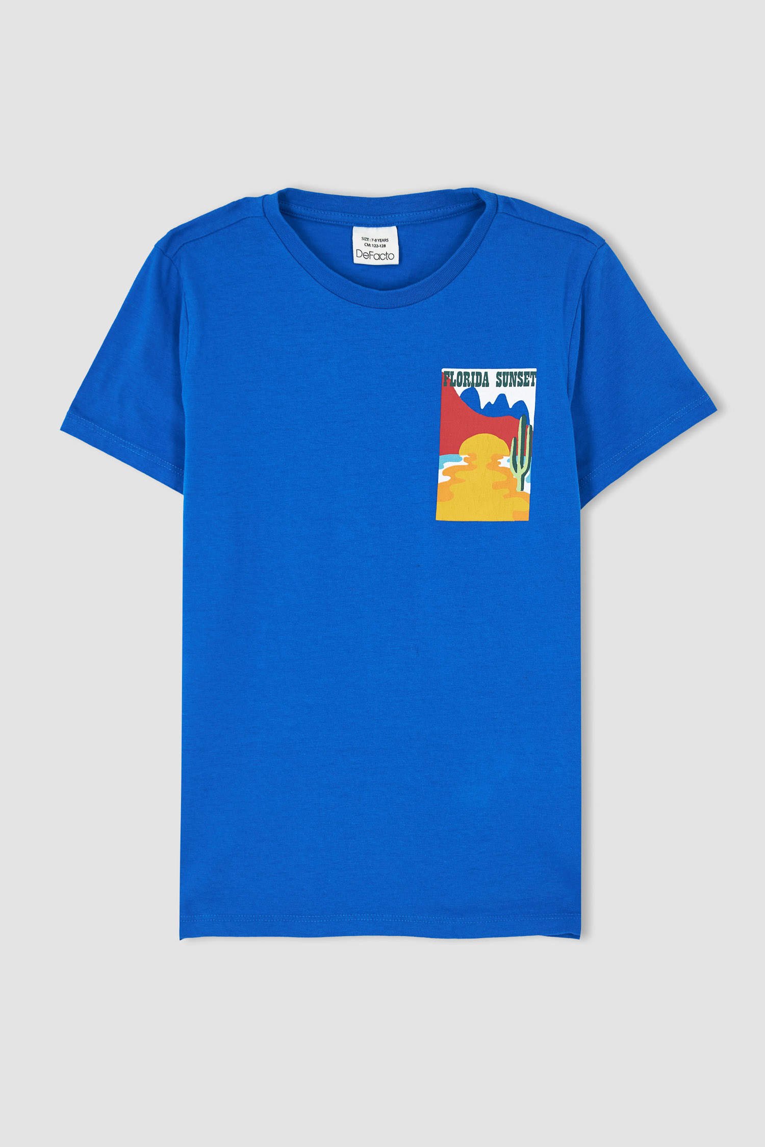 Blue BOYS & TEENS Boy Crew Neck Printed Back Short Sleeve T-Shirt ...