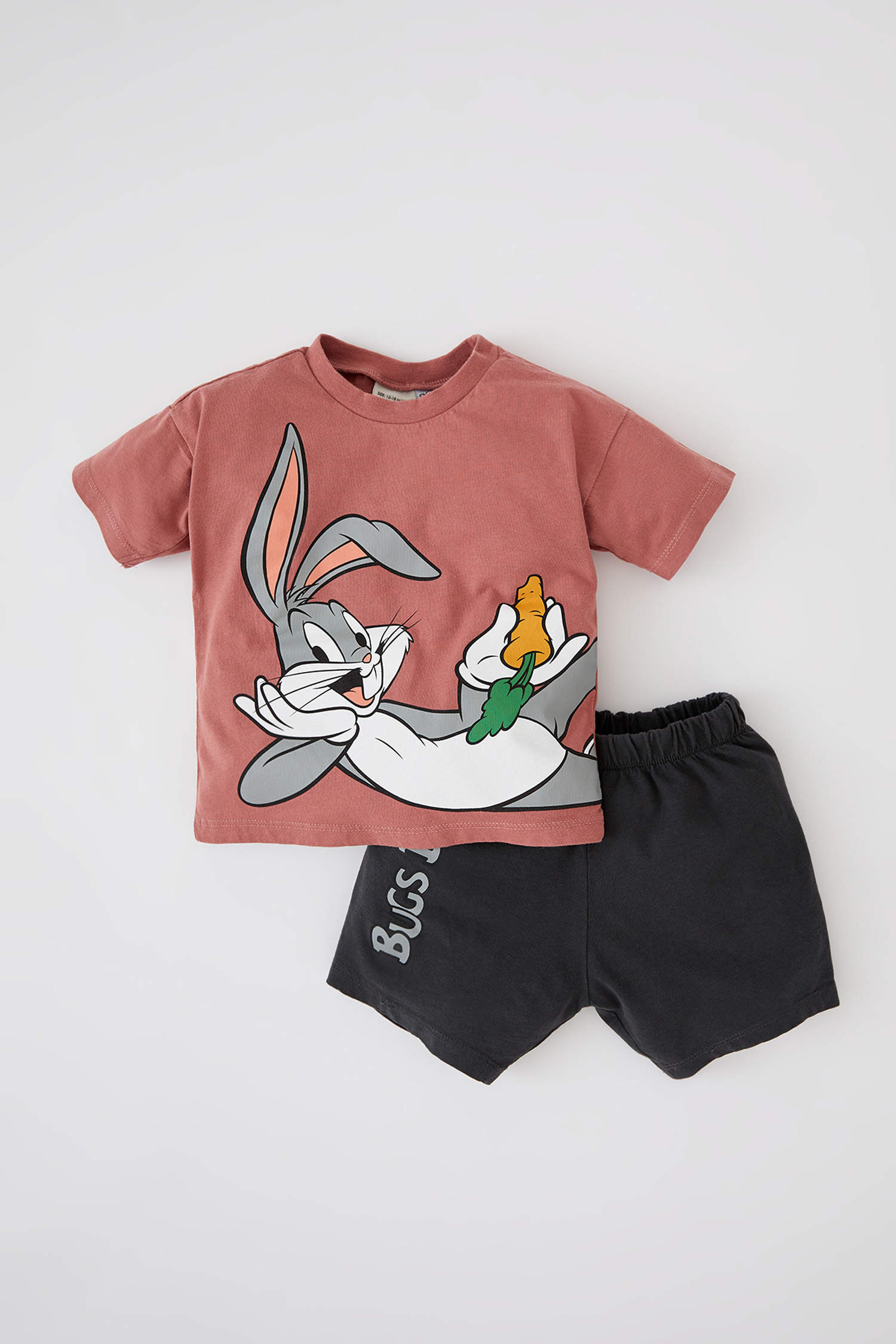 Defacto Erkek Bebek Looney Tunes Kısa Kollu Tişört Şort 2'li Takım. 3