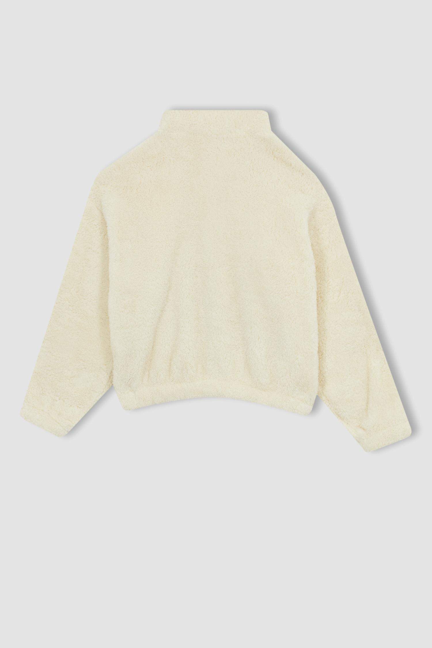 سويت شيرت قصة عادية بياقة عالية بنصف سحاب ببطانة ناعمة