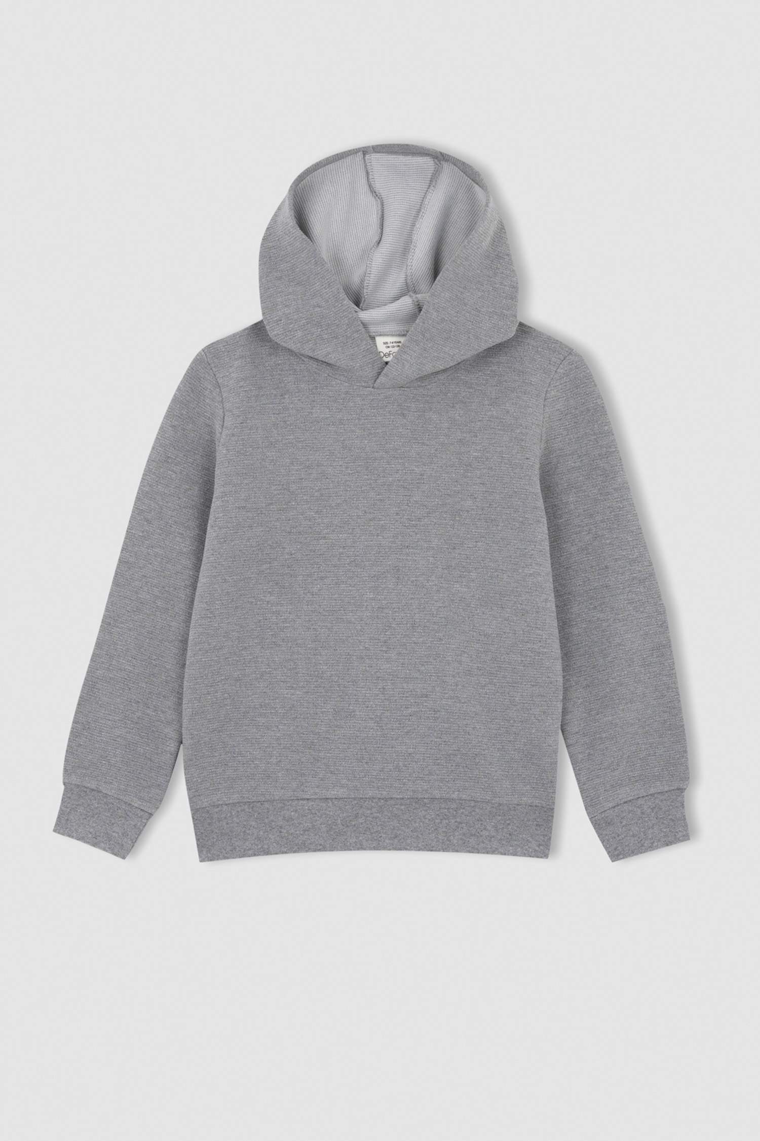 Grey Boys & Teens Boys Hoodie Sweatshirt 2692272 | DeFacto