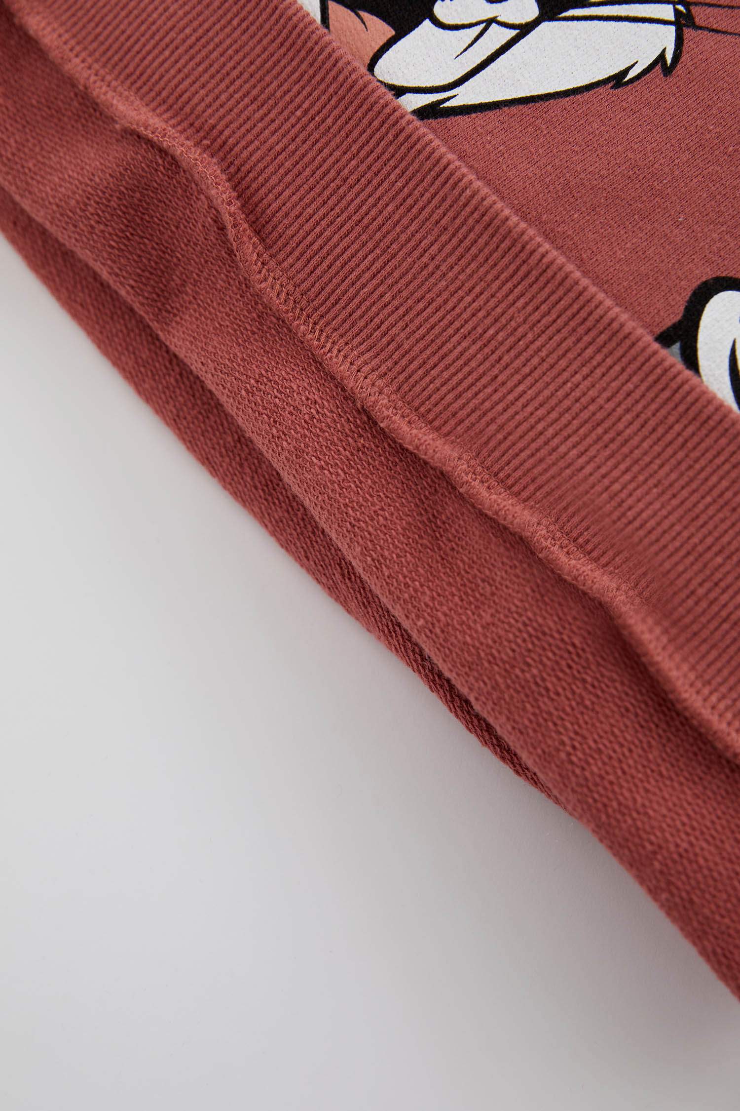 Baby Boy Looney Tunes Licensed Regular Fit Crew Neck Sweatshirt Tracksuit Bottom Set