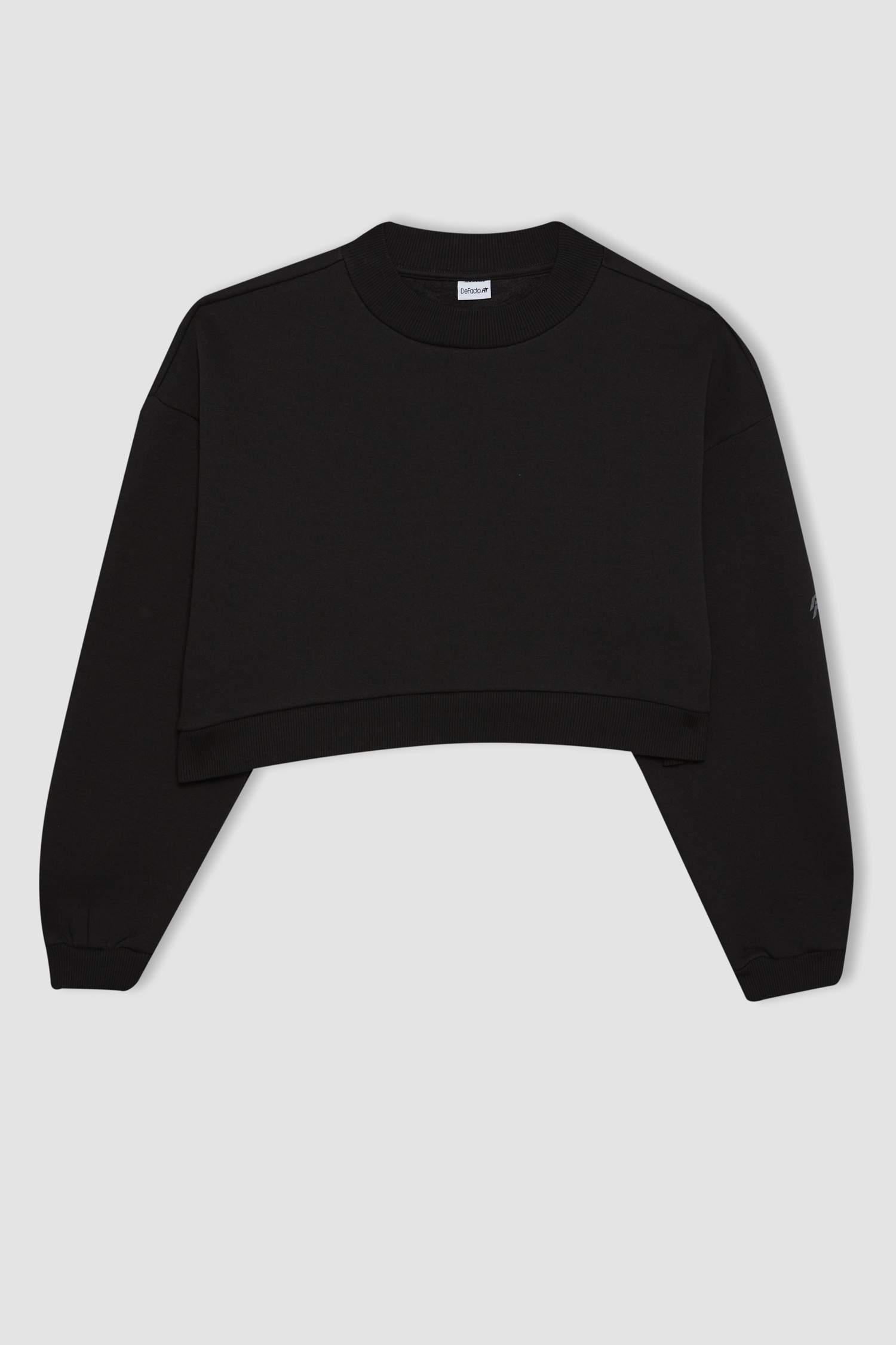 Crew Neck Thick Basic Crop Sweatshirt
