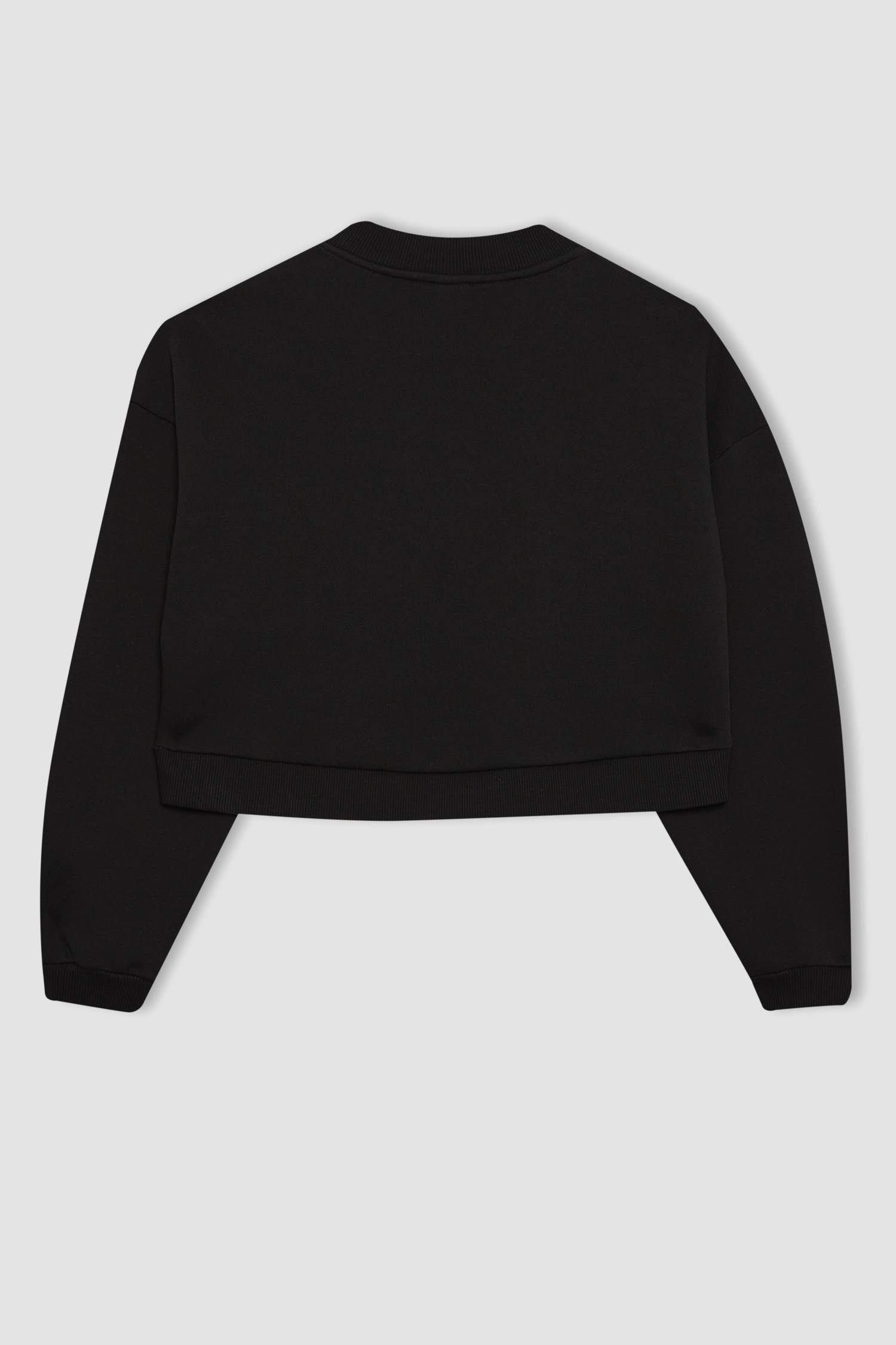 Crew Neck Thick Basic Crop Sweatshirt