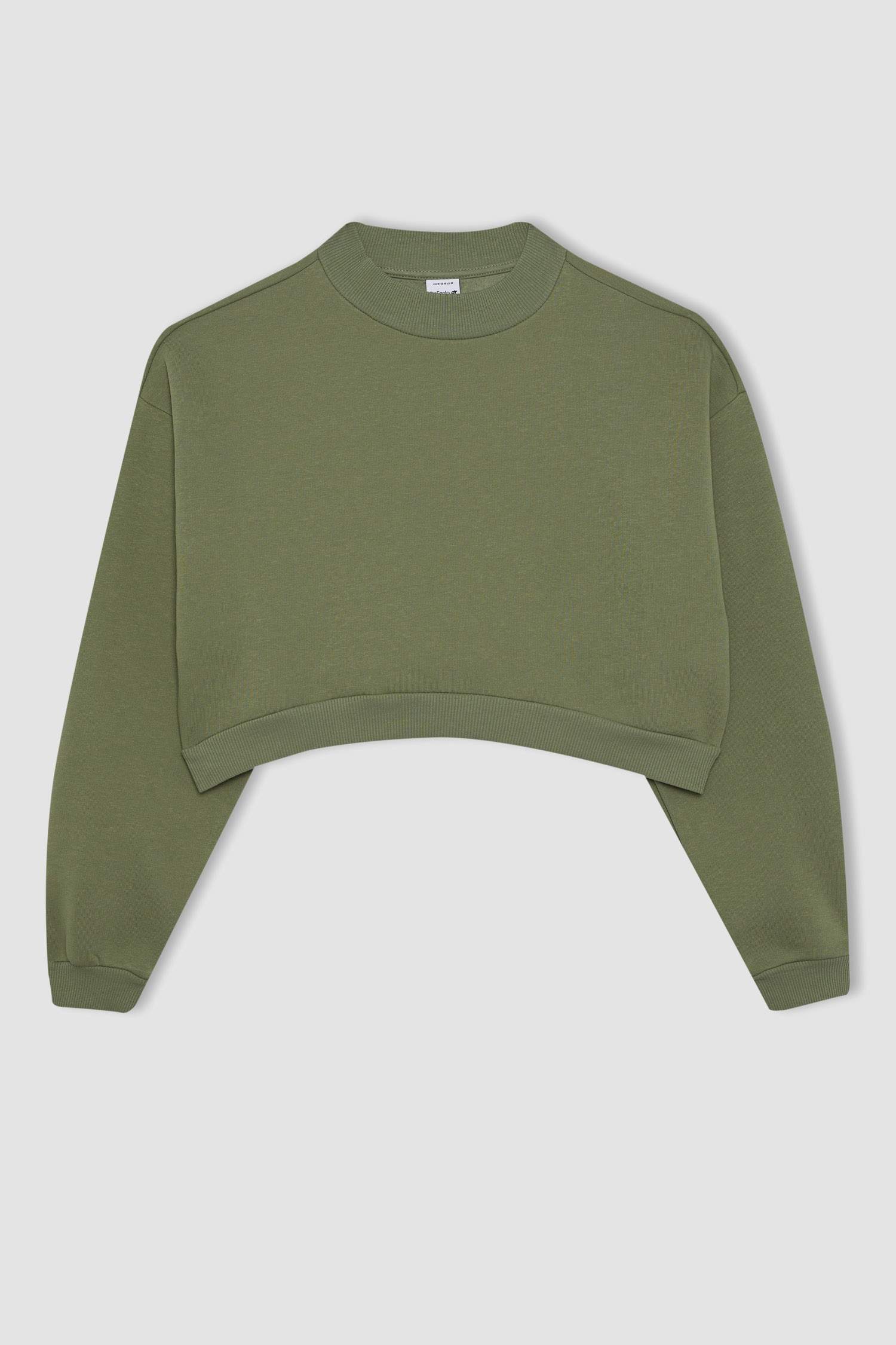 Crew Neck Thick Crop Sweatshirt