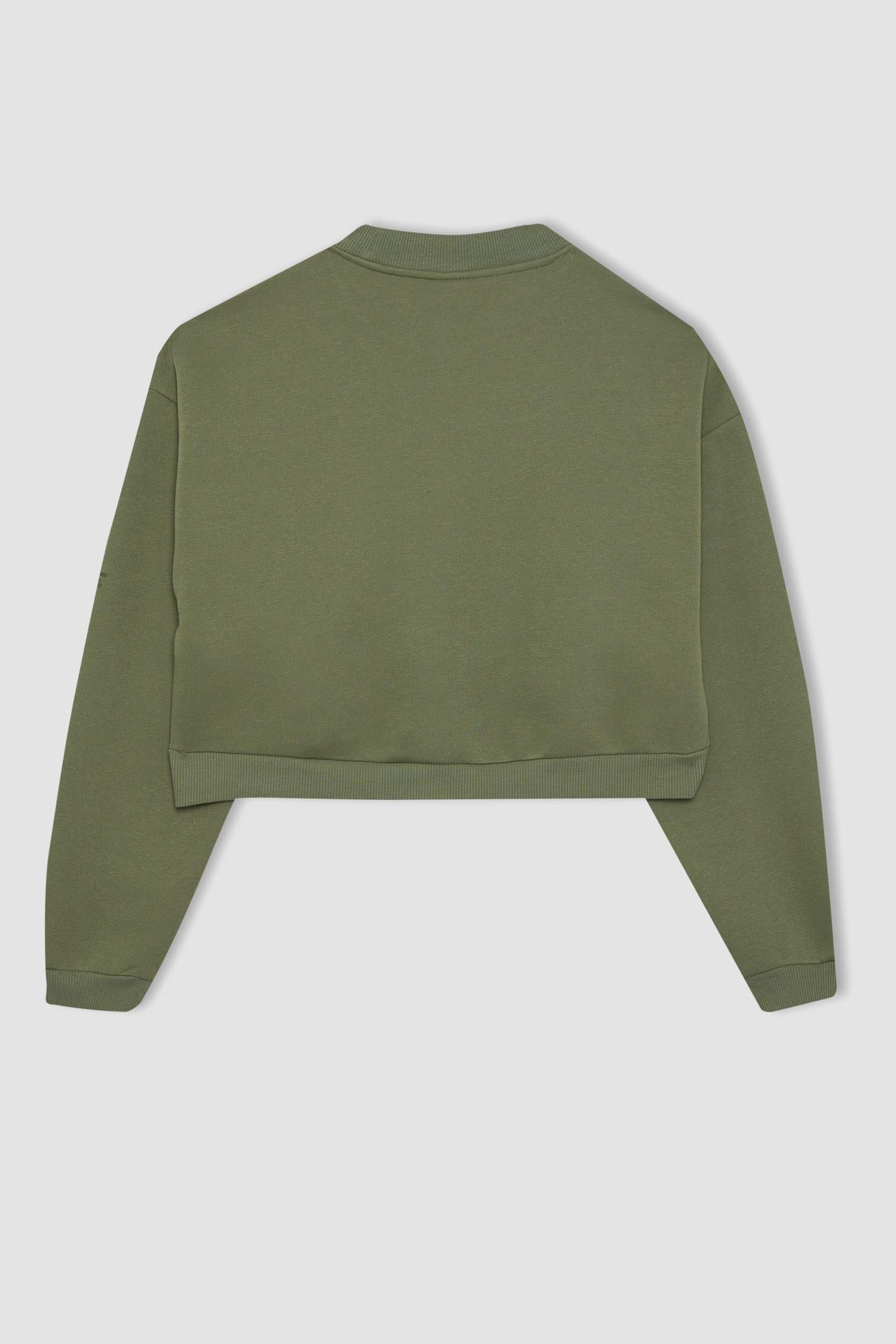 Crew Neck Thick Crop Sweatshirt