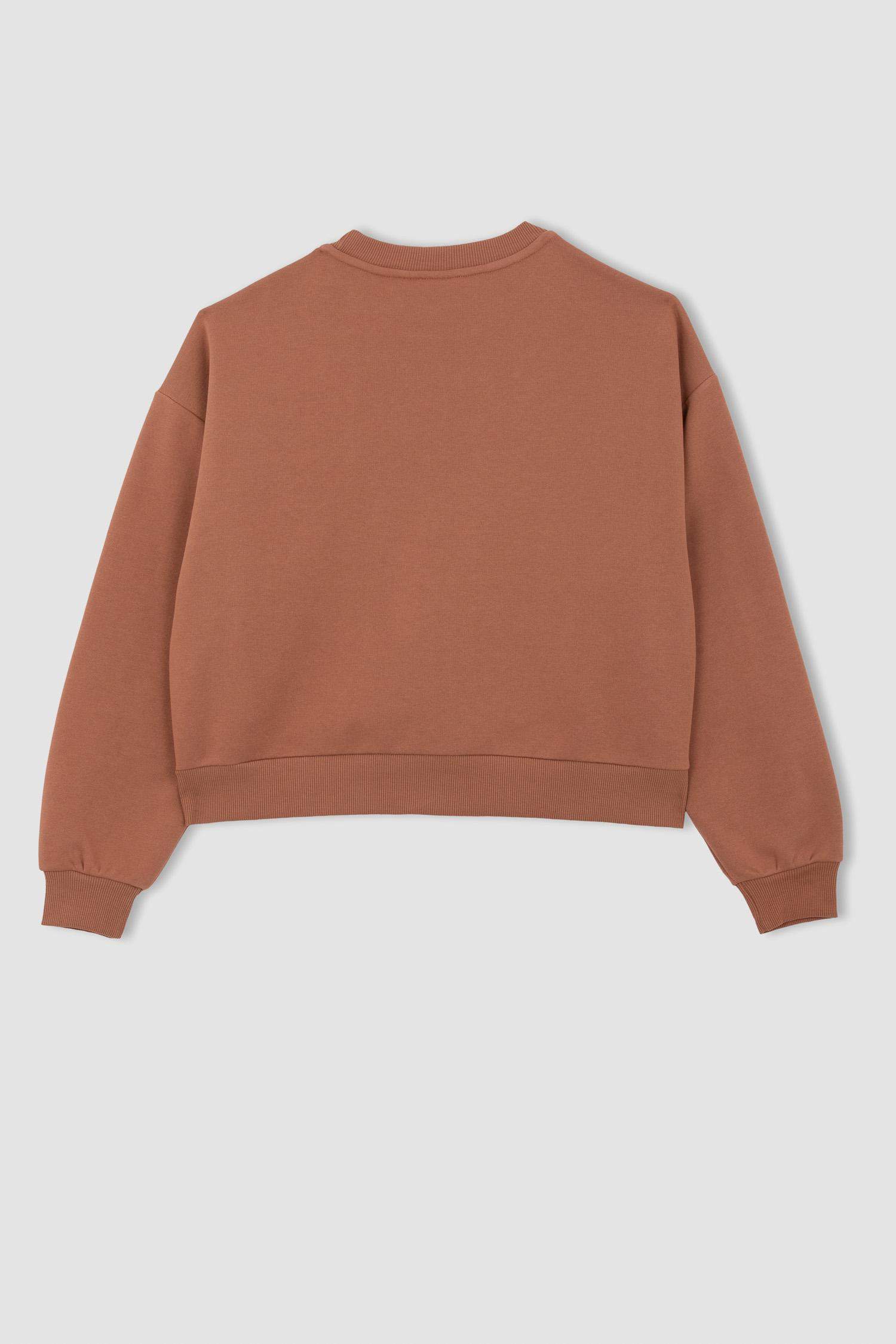 سويت شيرت بياقة مستديرة