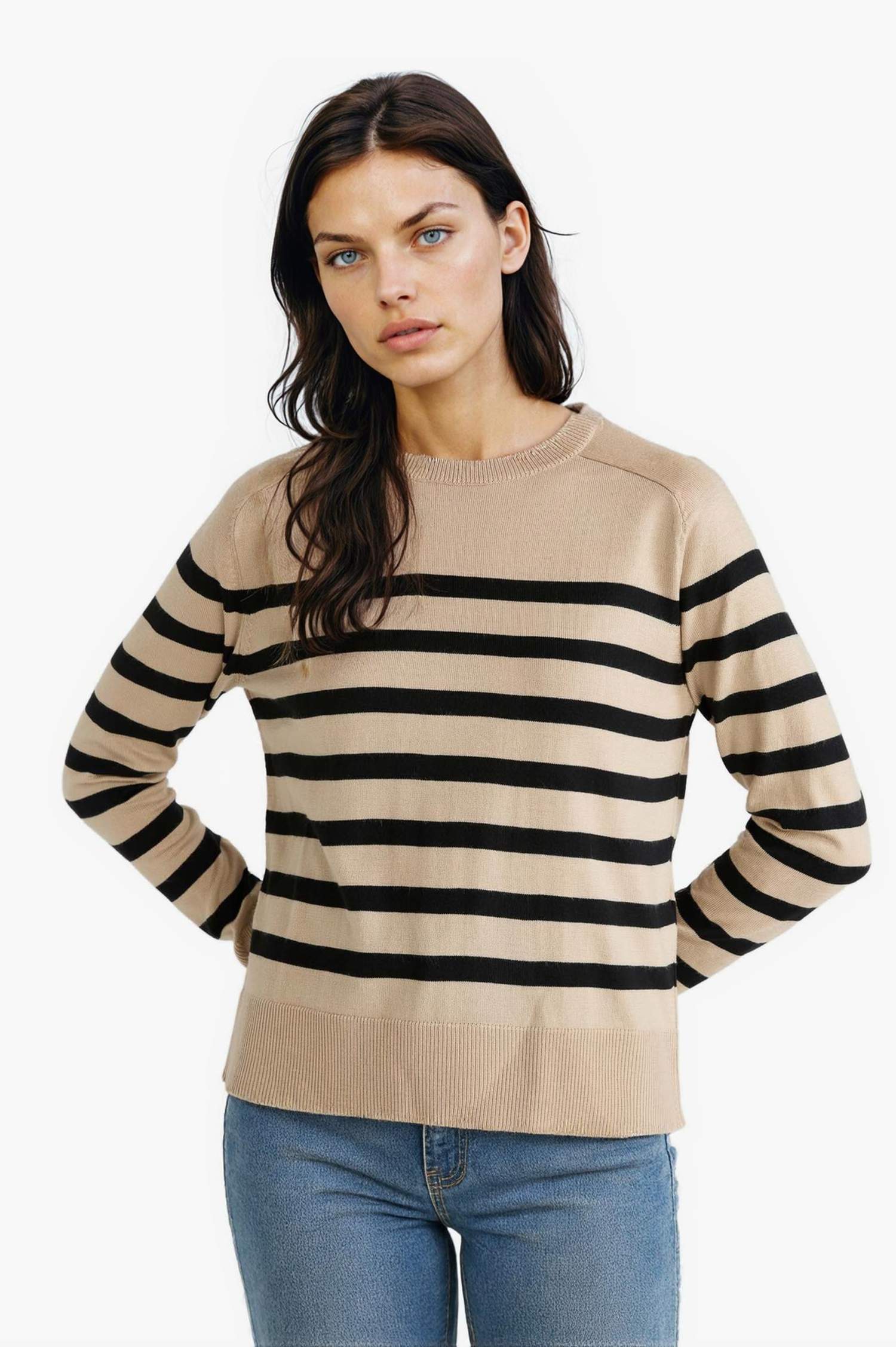 Regular Fit Crew Neck Striped Pullover